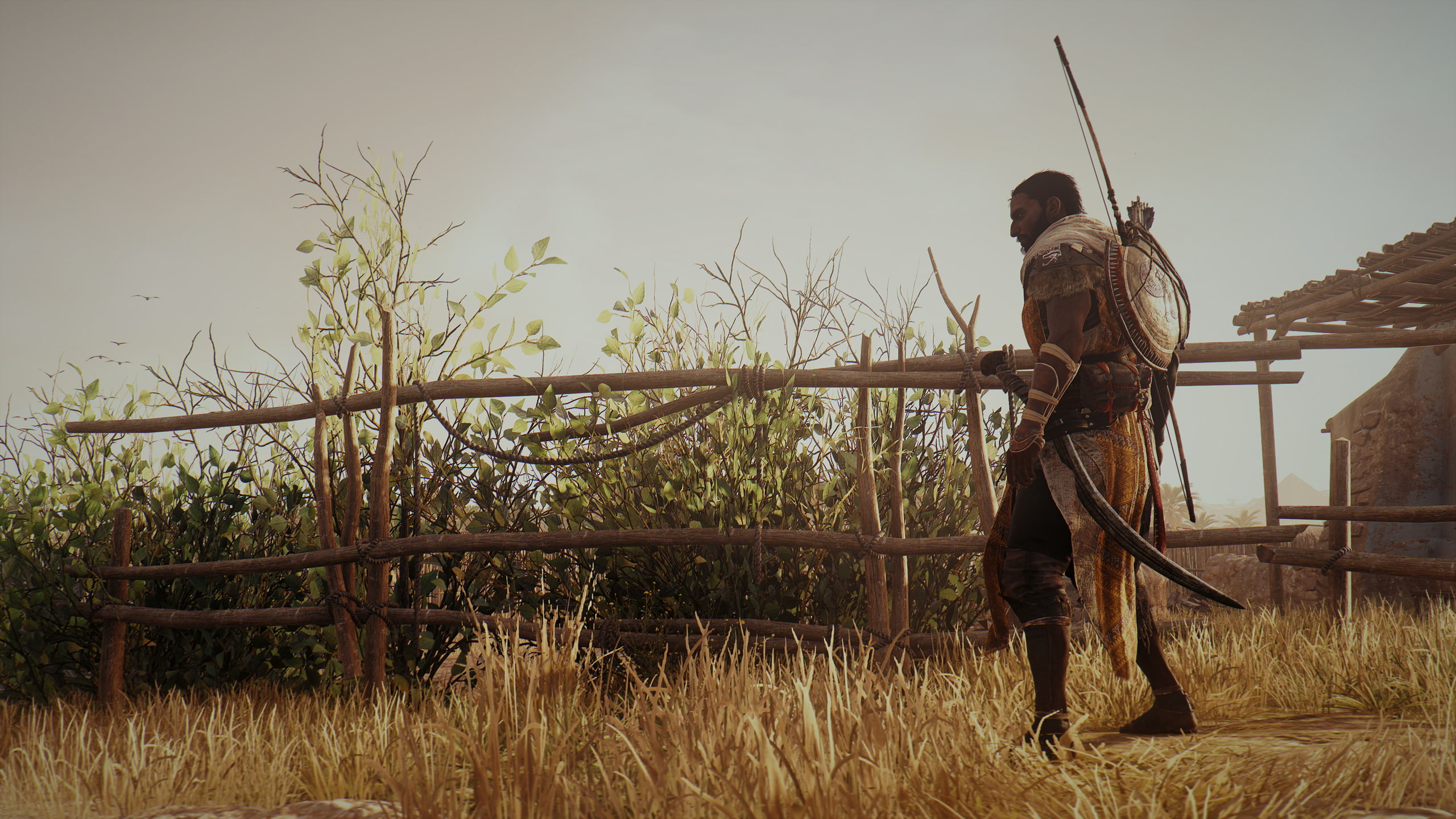 hunting, grass, Assassins Creed, lifestyles, holding, plant, one person, rifle, nature, gun, men, government, day, land, Assassins Creed: Origins, weapon, HD Wallpaper