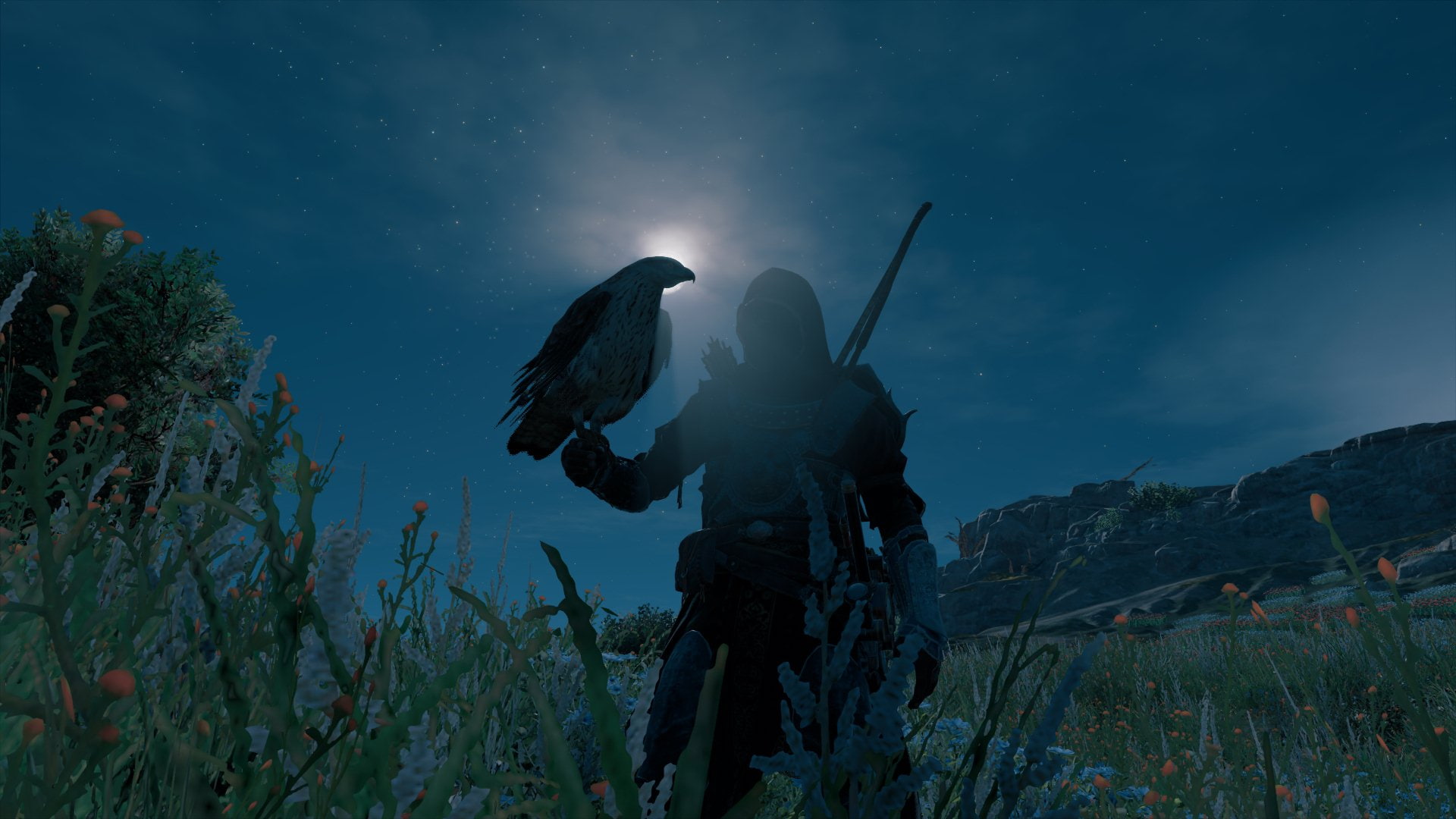 one animal, scenics - nature, night, one person, Assassins Creed: Origins, star - space, sky, nature, Bayek, eagle, holding, lifestyles, plant, beauty in nature, HD Wallpaper