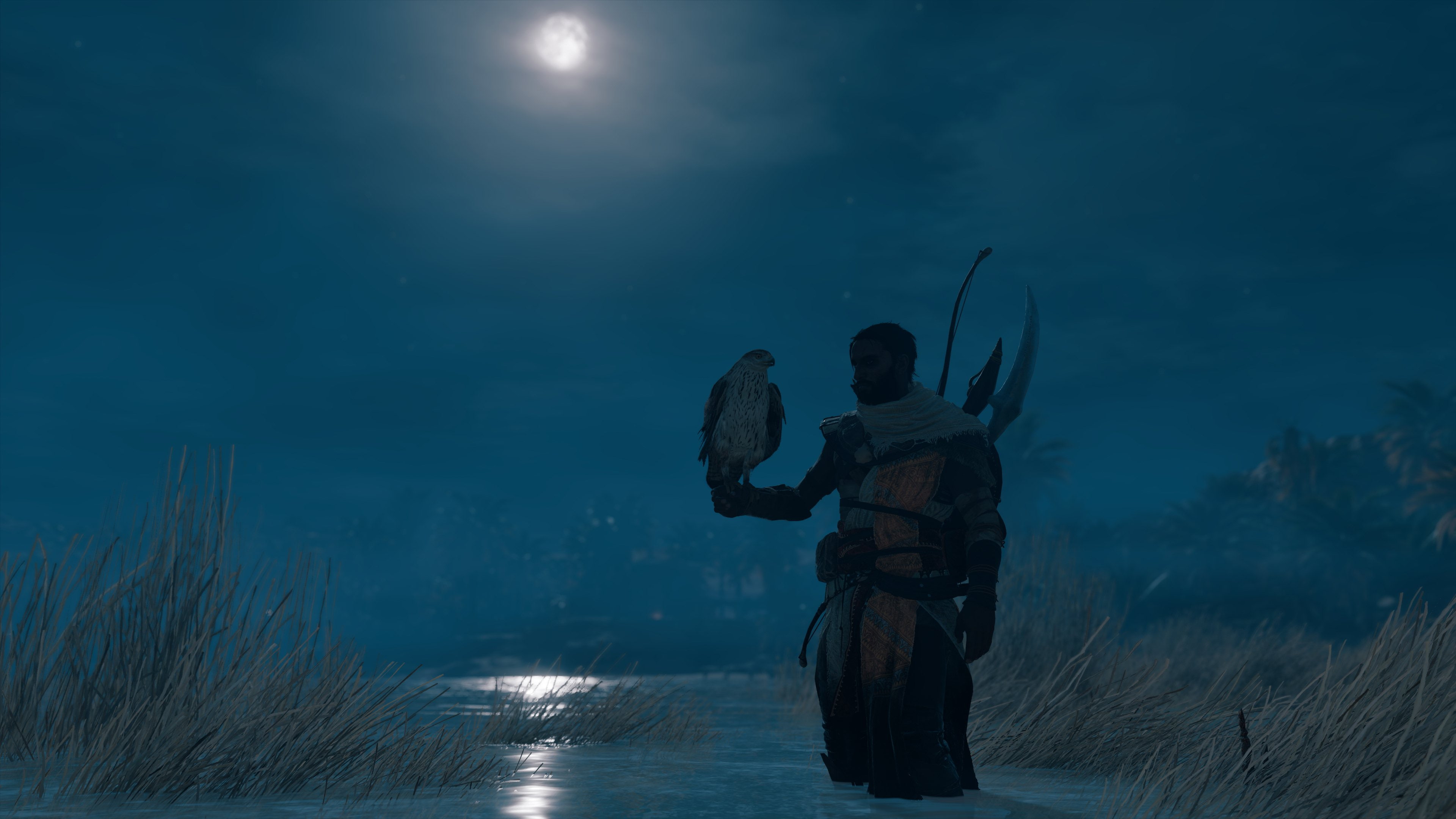 Assassins Creed: Origins, moonlight, three quarter length, holding, nature, water, night, Assassins Creed, outdoors, plant, sky, standing, people, 4K, HD Wallpaper