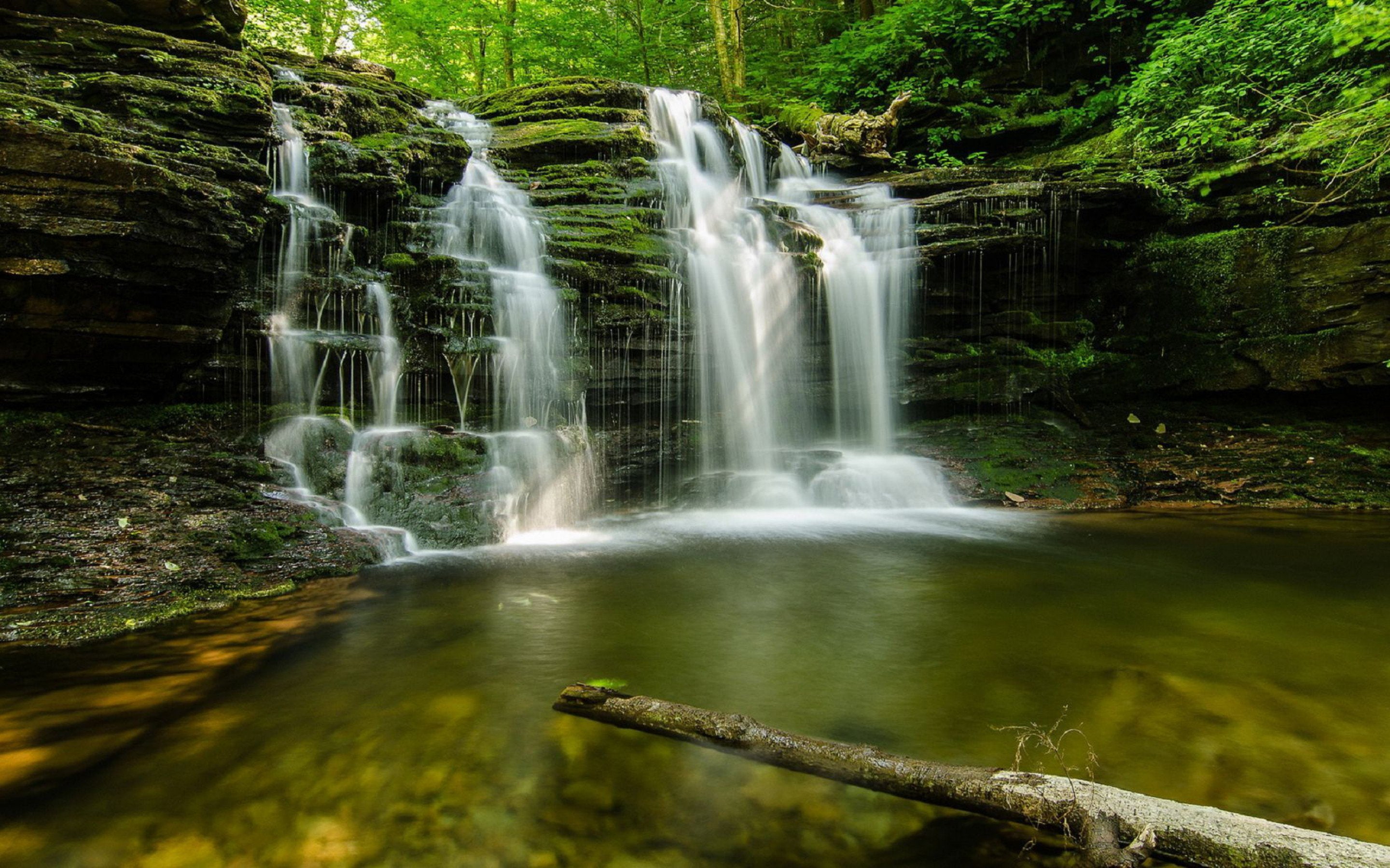 hd, oregon, 2K, falls, waterfall, cascading, desktop, usa, multnomah, forest, HD Wallpaper