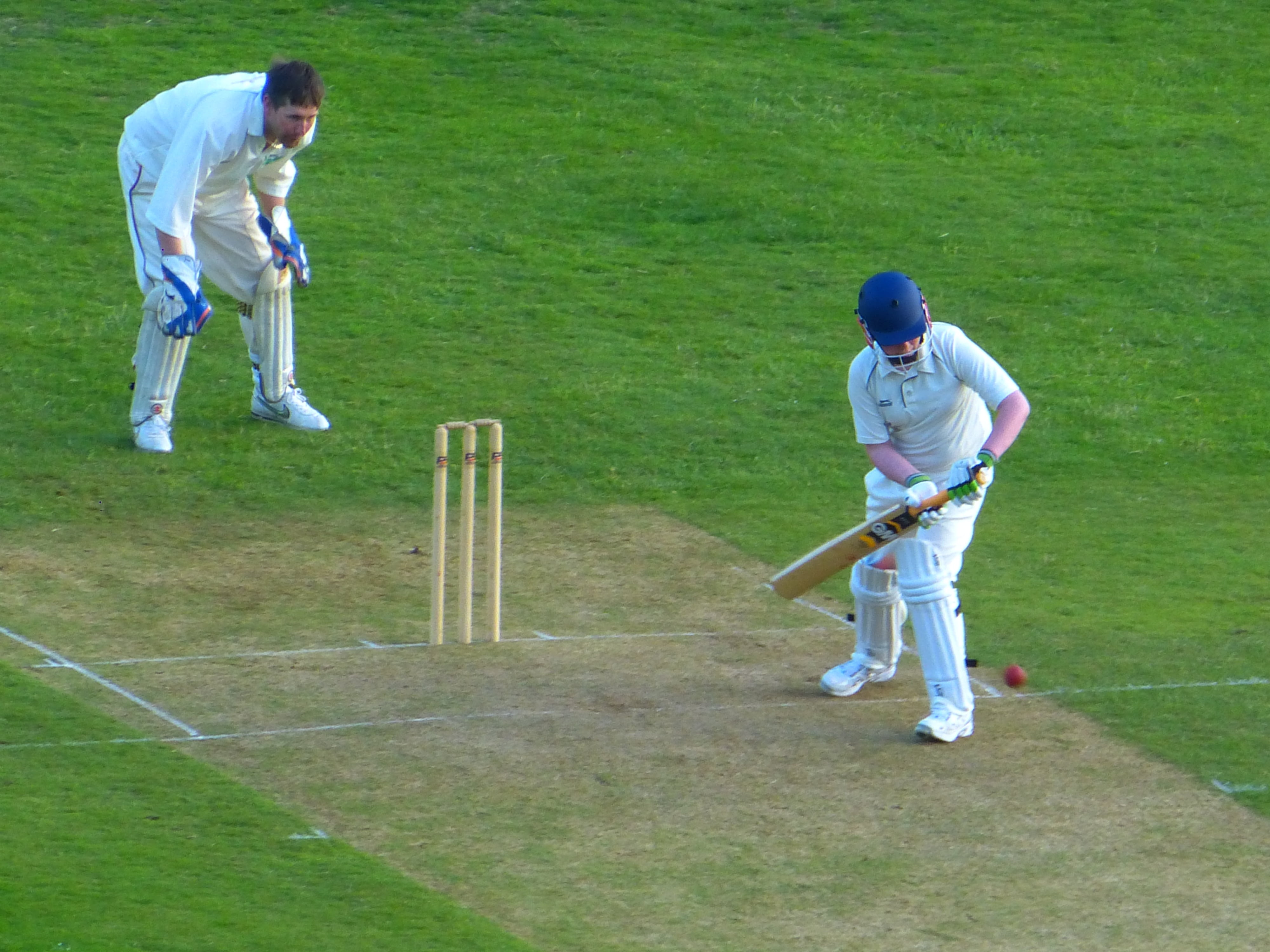 nature, hitting, golf club, green color, sport, batsman, men, adult, full length, two people, leisure activity, plant, team sports, cricket, activity, people, HD Wallpaper