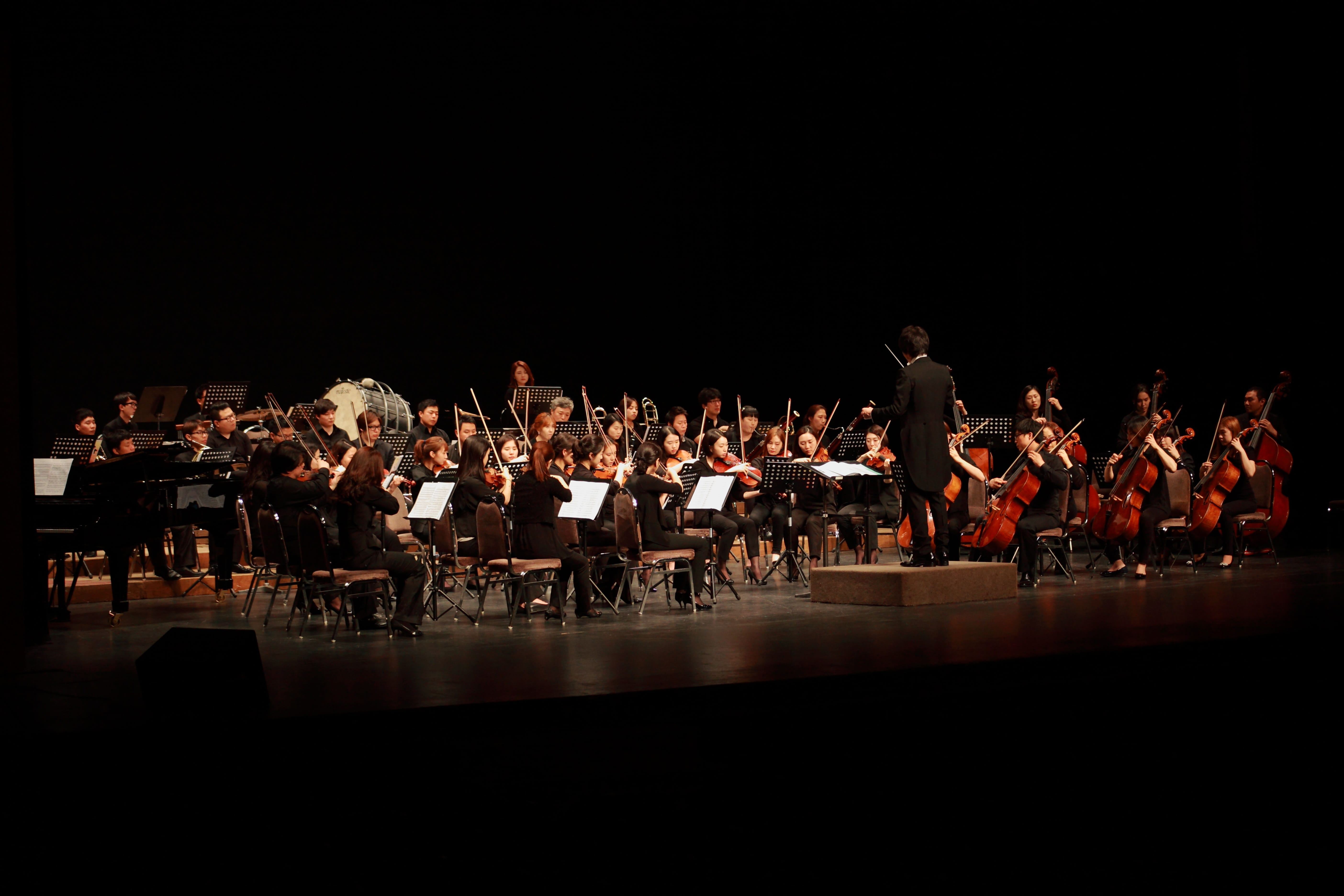 real people, becej hotel orchestra, audience, adult, young adult, human arm, 5K, women, males, classic, group of people, crowd, indoors, men, large group of people, HD Wallpaper