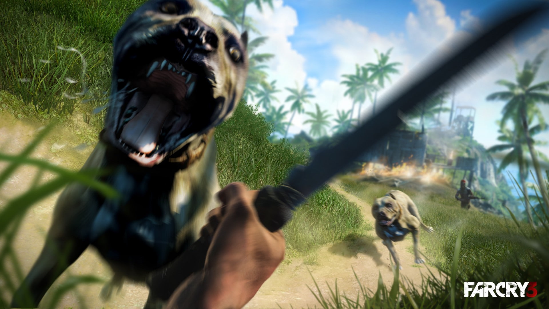 action, bull, fighting, video, far, horror, games, vaas, pit, montenegro, 1080P, adventure, shooter, cry, farcry, 1farcry, HD Wallpaper