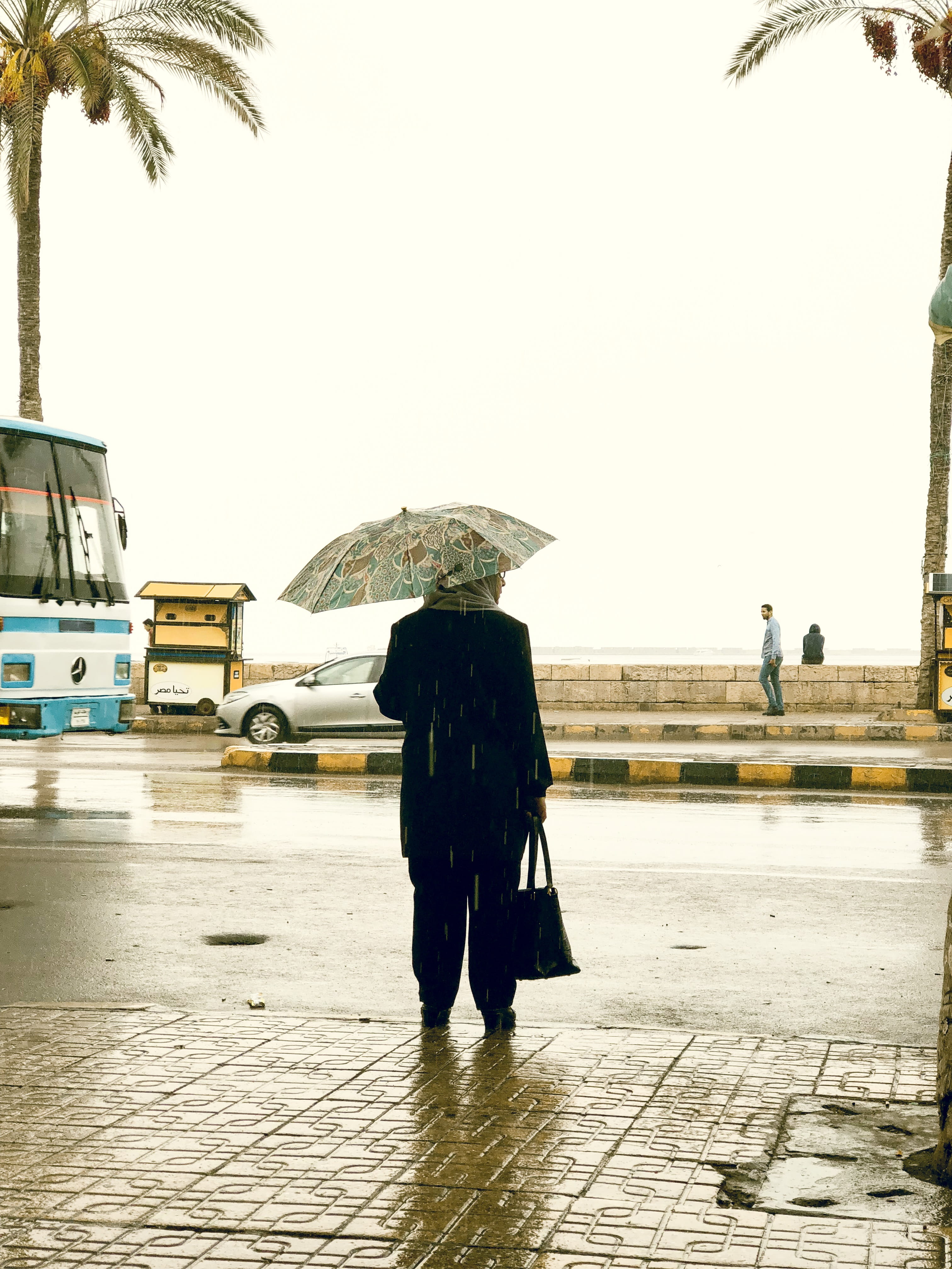 woman, walking, tree, protection, incidental people, sky, rain, day, palm tree, egypt, water, full length, outdoors, rainy season, umbrella, nature, city, Phone HD Wallpaper