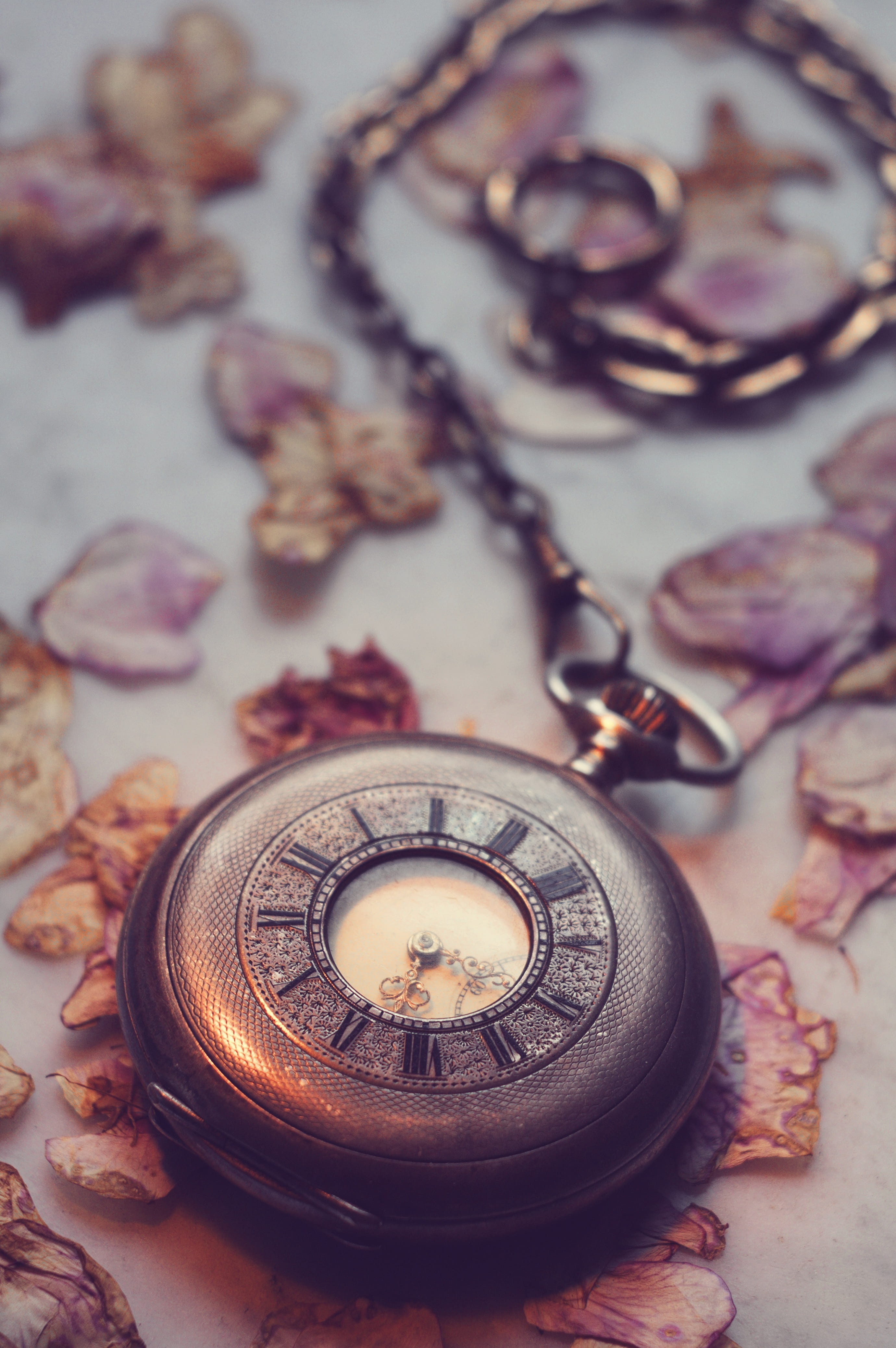 worlds fair, direction, close-up, gear, metal, horology, old, historically, antique, 4K, time, vintage, nostalgia, shape, design, accuracy, still life, Phone HD Wallpaper