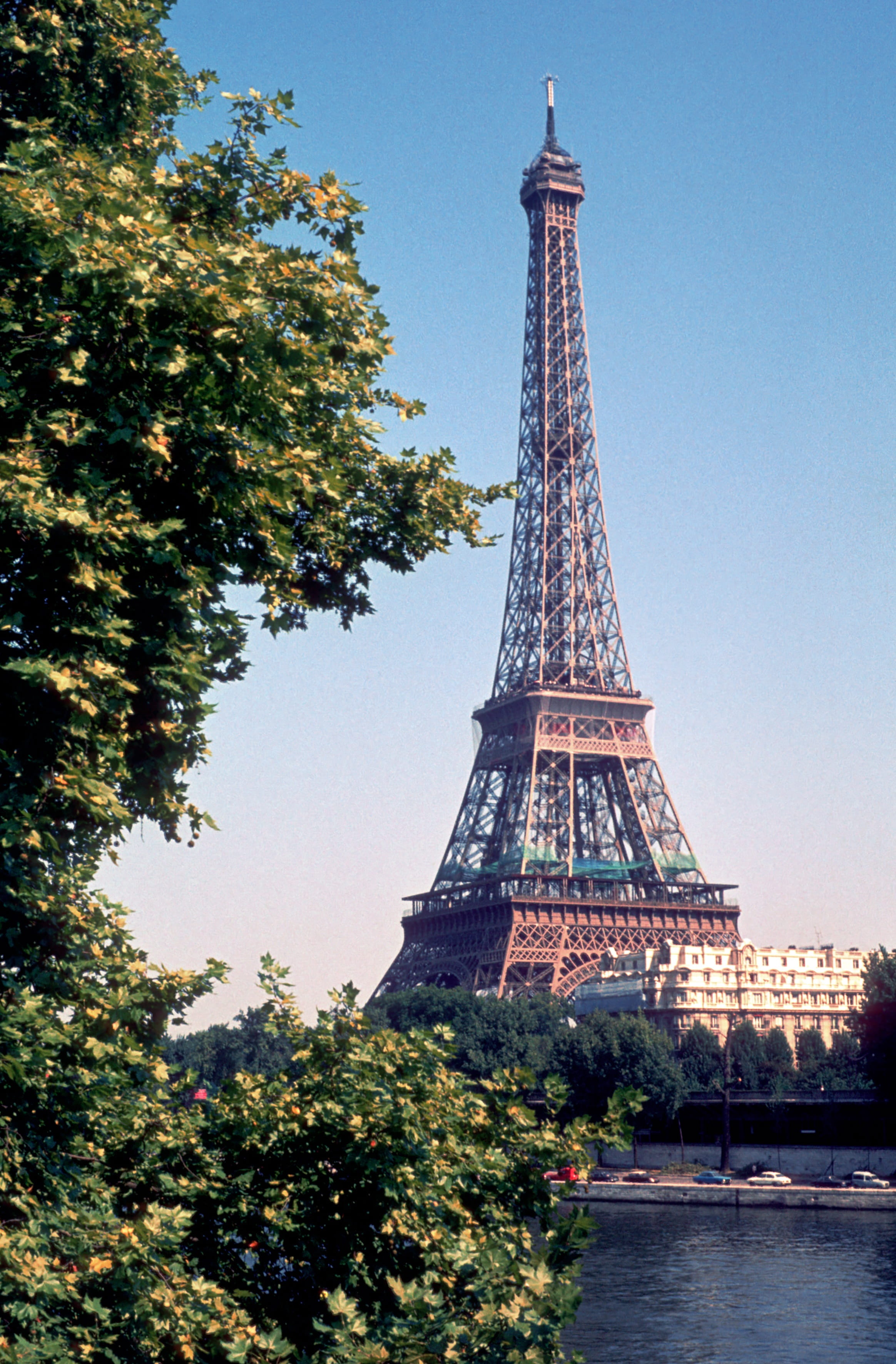 sky, clear sky, no people, nature, tall - high, travel, city, tour eiffel, plant, day, built structure, history, paris, france, travel destinations, tree, Phone HD Wallpaper