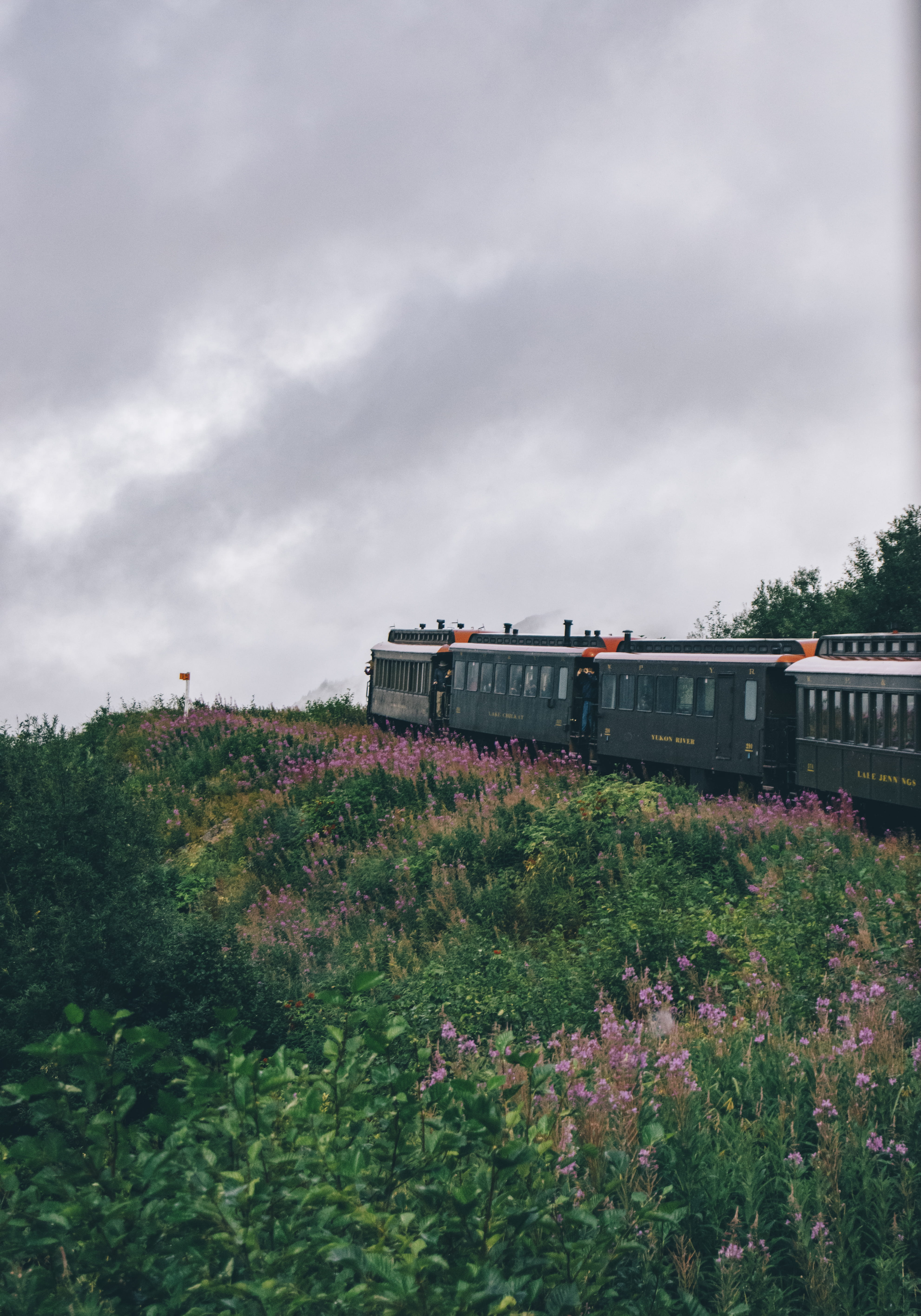 daytime, nature, light, land, locomotive, plant, motor, flare, cloud - sky, day, outdoors, steam engine, engine, railway, sky, passenger car, flowering plant, Phone HD Wallpaper