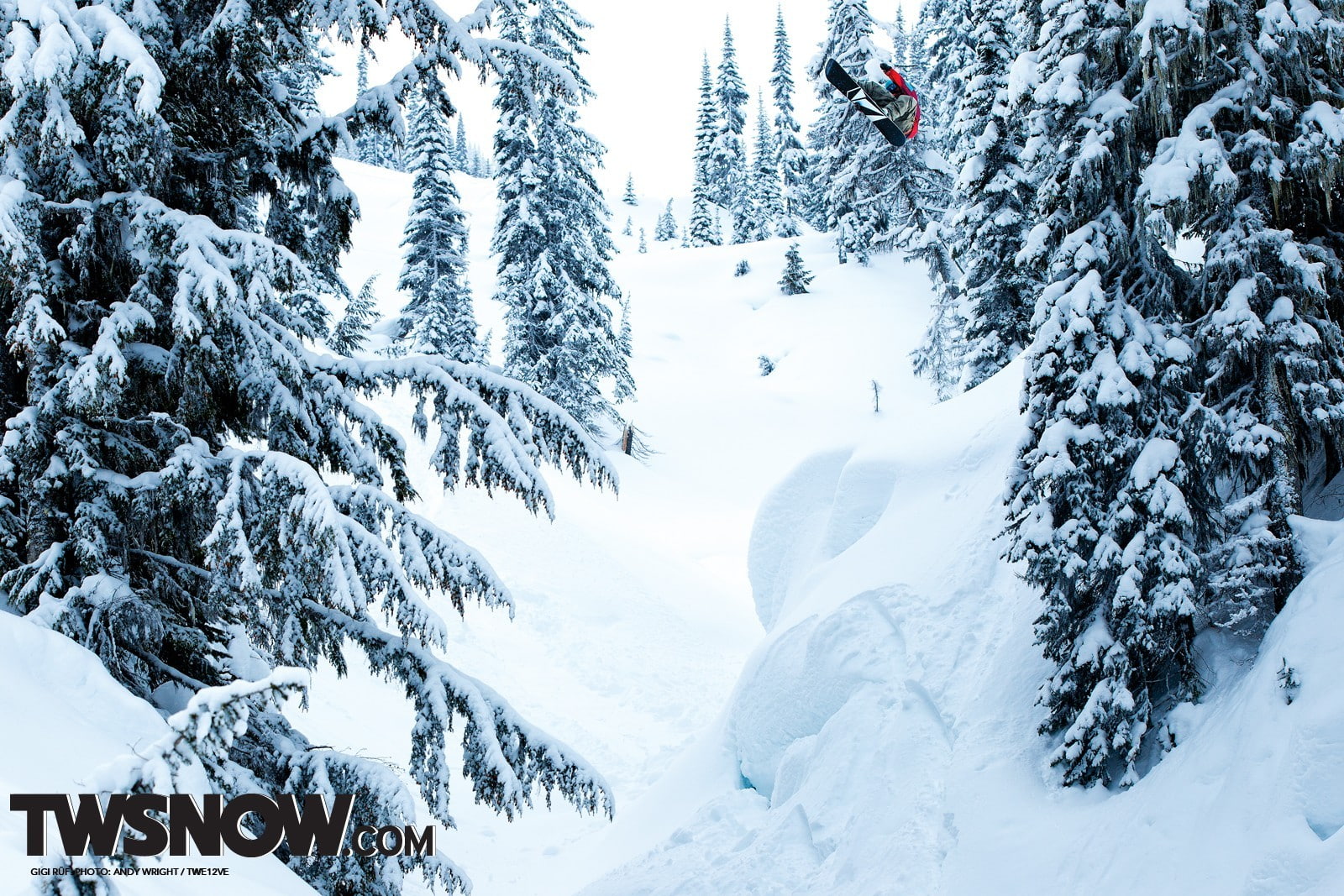 winter, 720P, trees, sport, snow, snowboard, HD Wallpaper