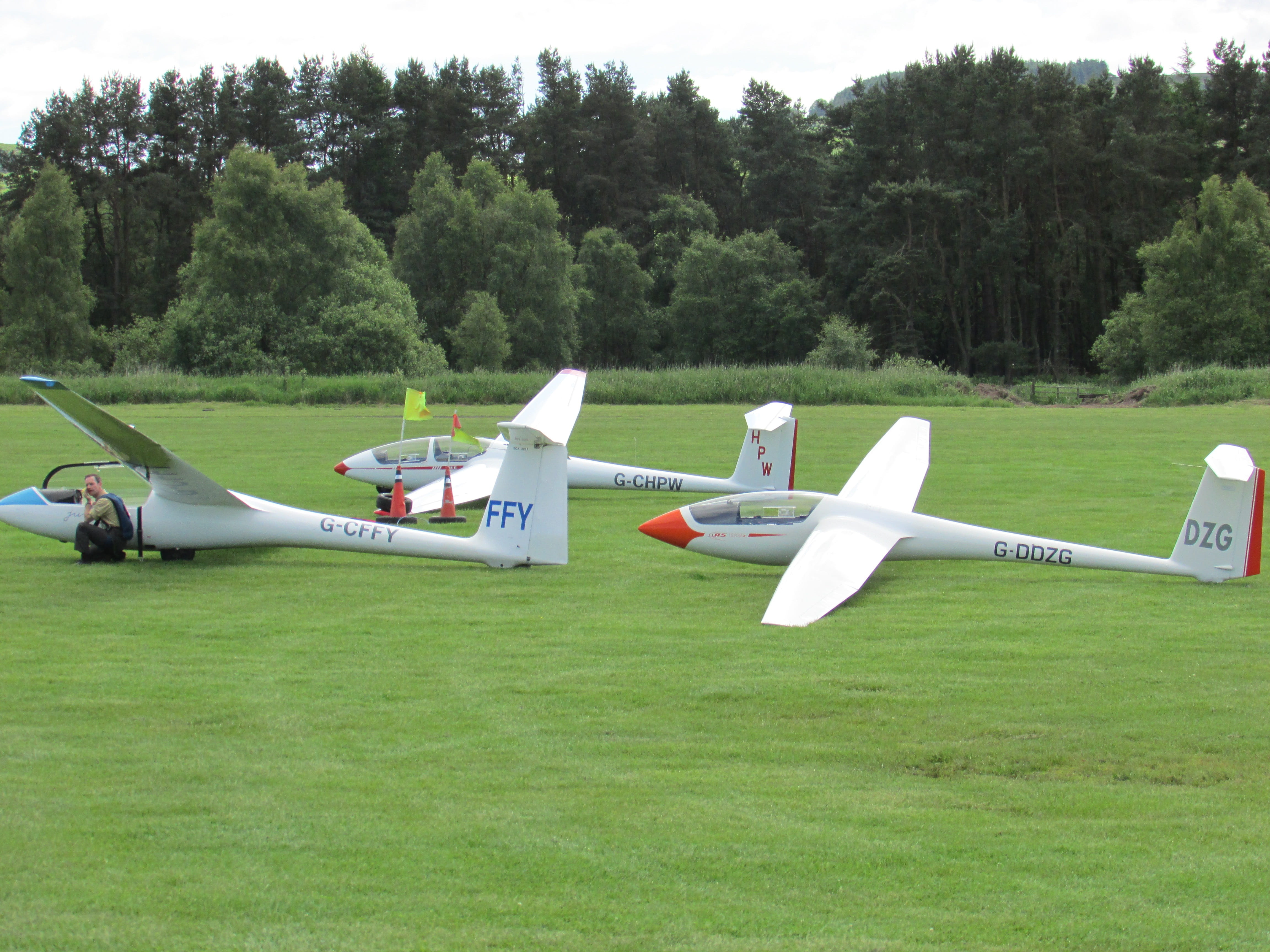 sailplane, gliding, Sailplane, non-urban scene, day, airplane, land, growth, grass, white color, plant, nature, flying, 4K, fly, sky, tree, air vehicle, HD Wallpaper