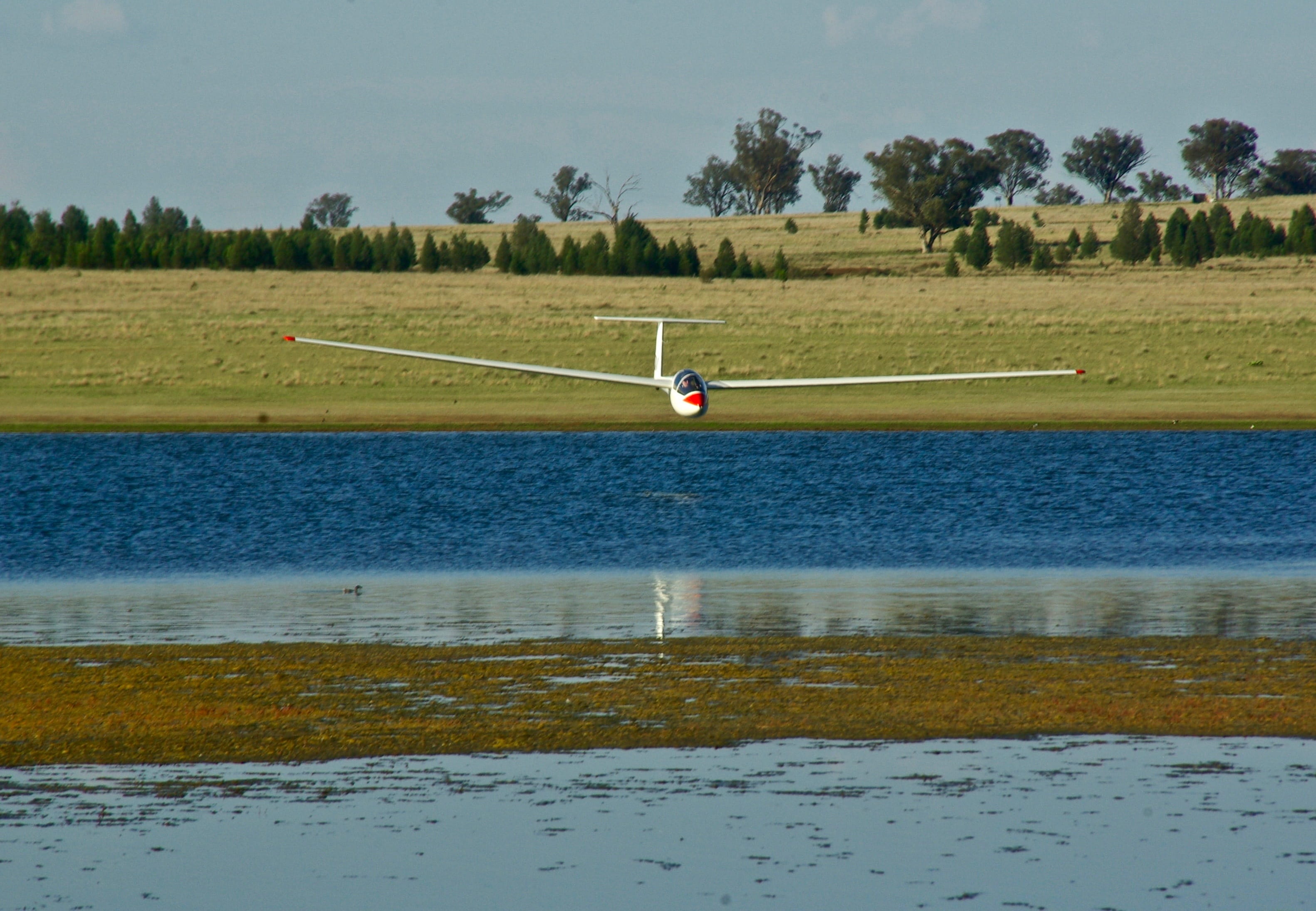 day, tranquil scene, gliding, field, transportation, tree, grass, waterfront, no people, water, sky, nature, beauty in nature, environment, tranquility, HD Wallpaper