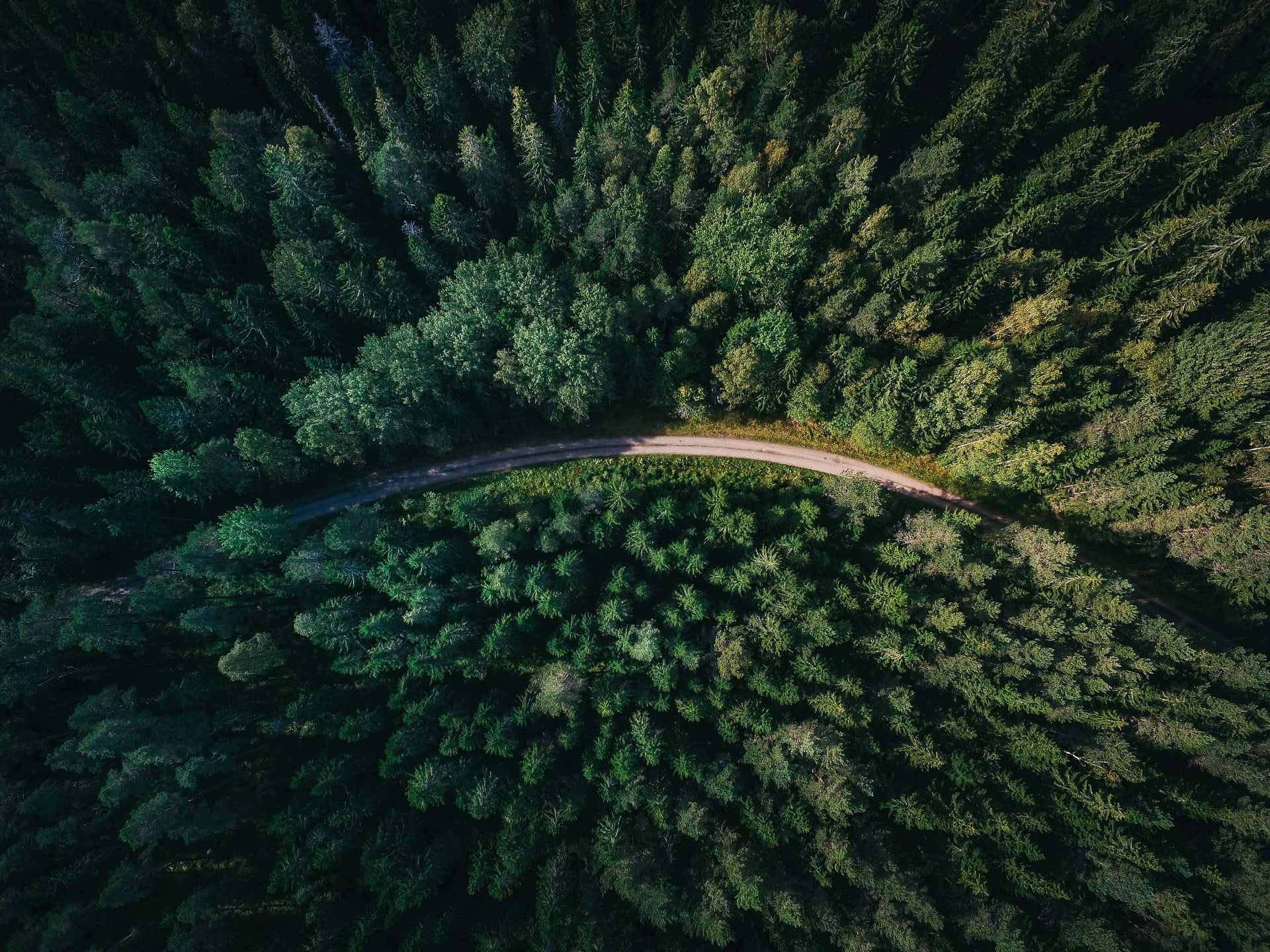 trees, road, birds eye view, aerial view, forest, 1080P, path, nature, HD Wallpaper