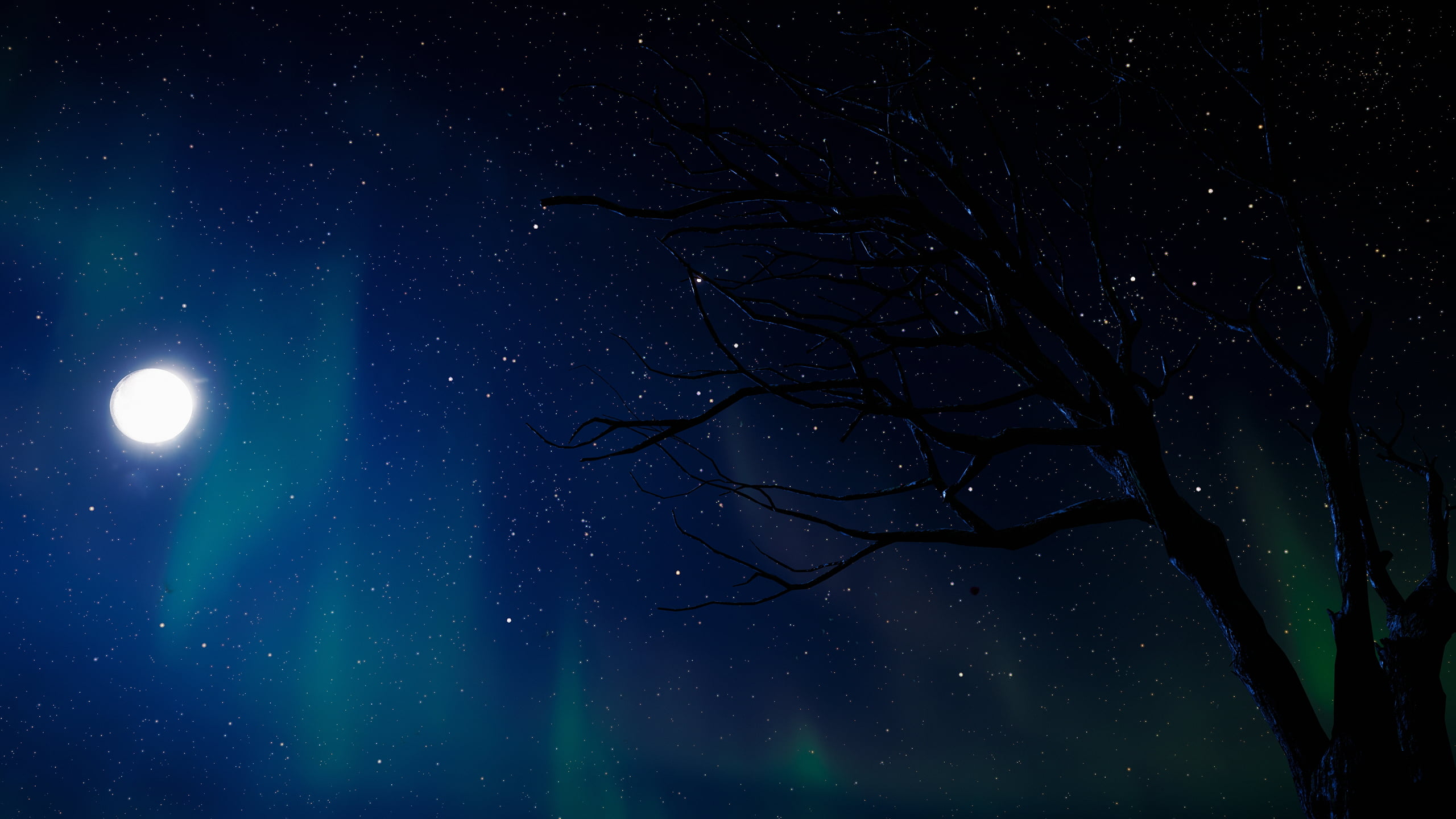 forest, stars, Far Cry, 2K, PC gaming, Far Cry New Dawn, night, HD Wallpaper