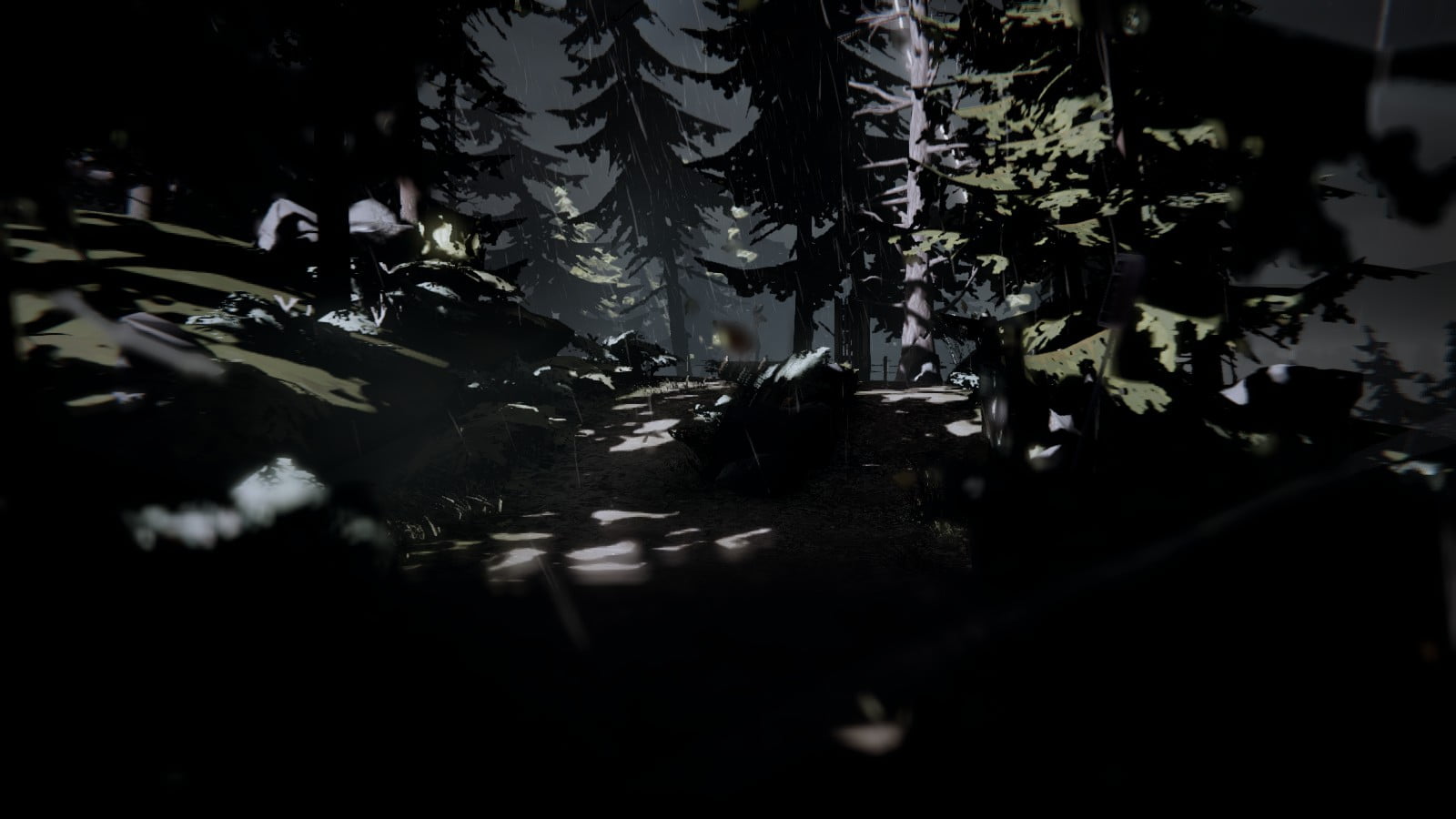 real people, leaf, Life Is Strange, storm, sunlight, selective focus, water, silhouette, plant part, growth, day, Arcadia Bay, shadow, outdoors, vertebrate, HD Wallpaper
