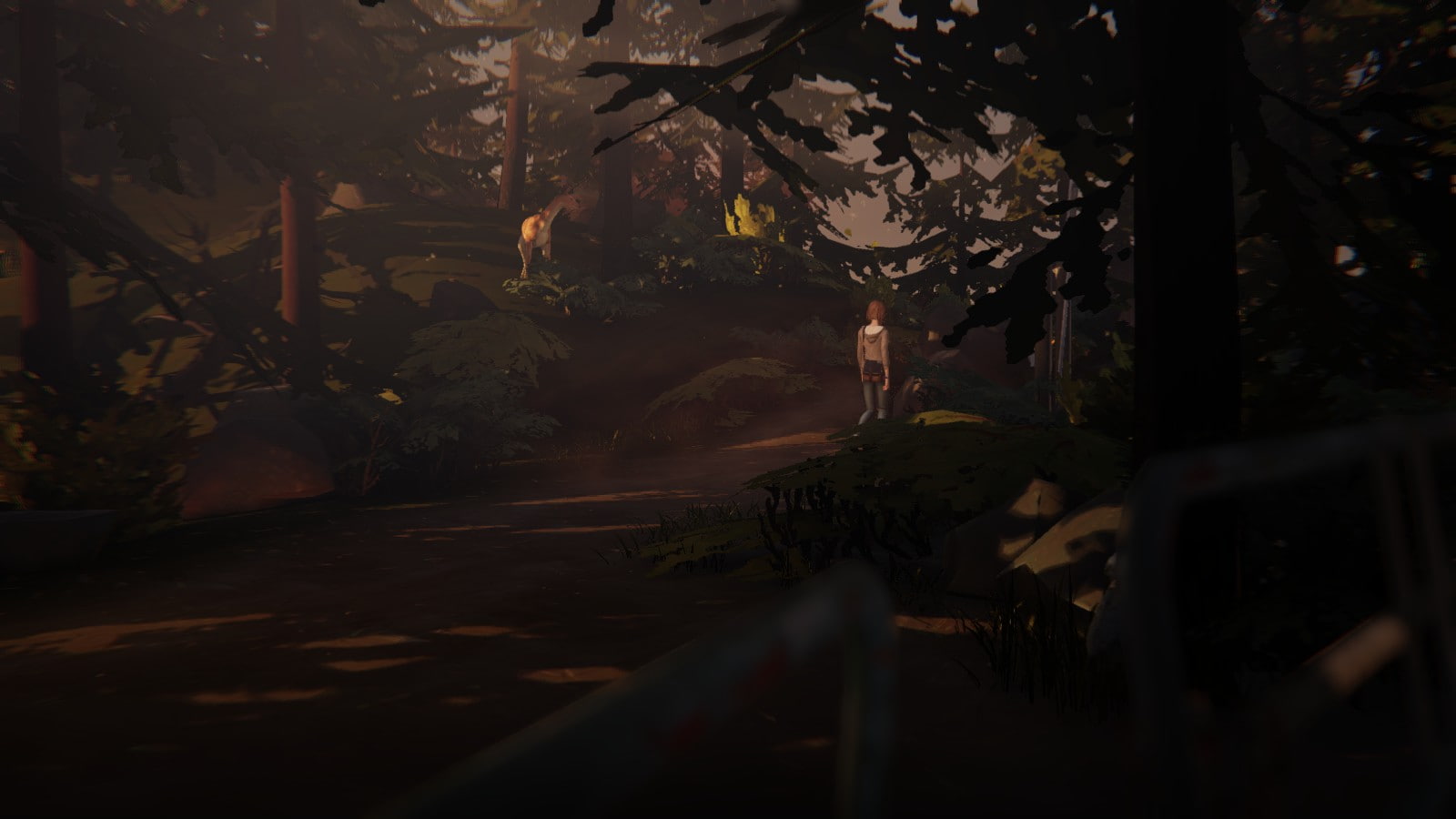 dark, plant part, focus on background, nature, outdoors, forest, land, day, trunk, water, no people, plant, Life Is Strange, tree trunk, Arcadia Bay, Max Caulfield, HD Wallpaper