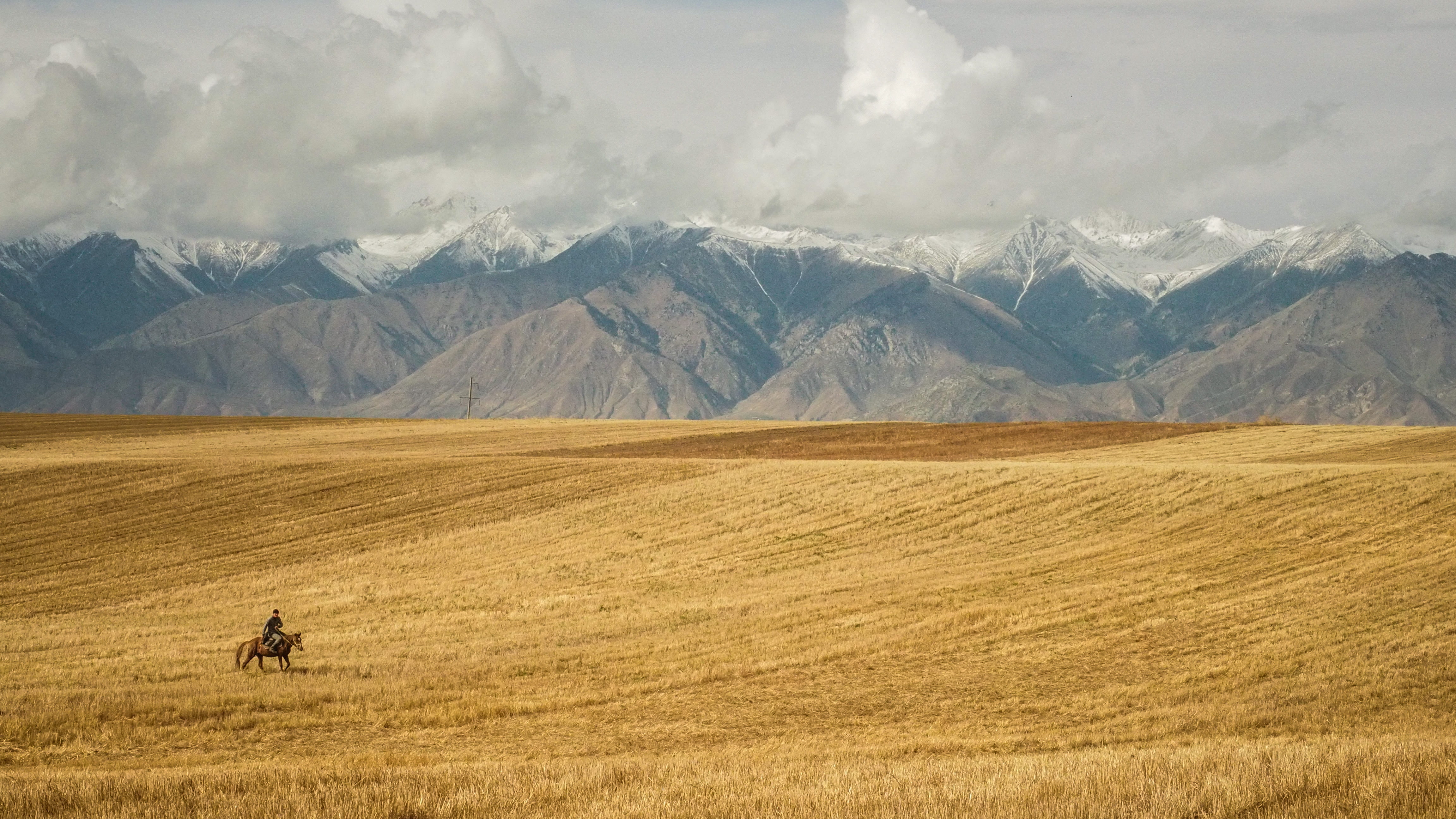 prarie, person, horse, people, mountain range, agriculture, golden, countryside, 4K, sky, open, scenics - nature, landscape, mammal, farmer, cowboy, wheat, HD Wallpaper