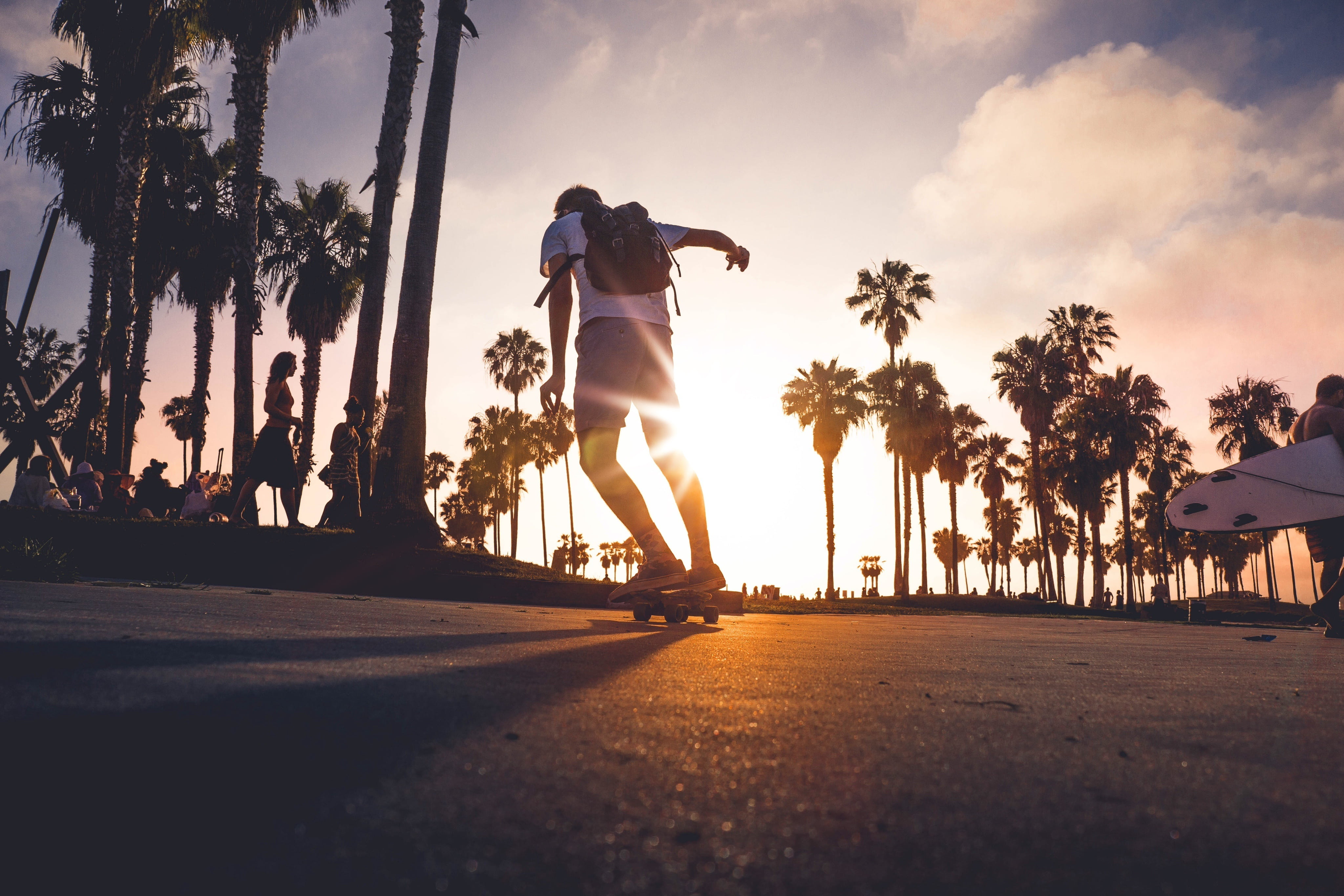 leisure, street, outside, back Lit, running, plant, tropical climate, outdoor, exercising, black Color, people, healthy Lifestyle, sunset, lifestyles, action, HD Wallpaper