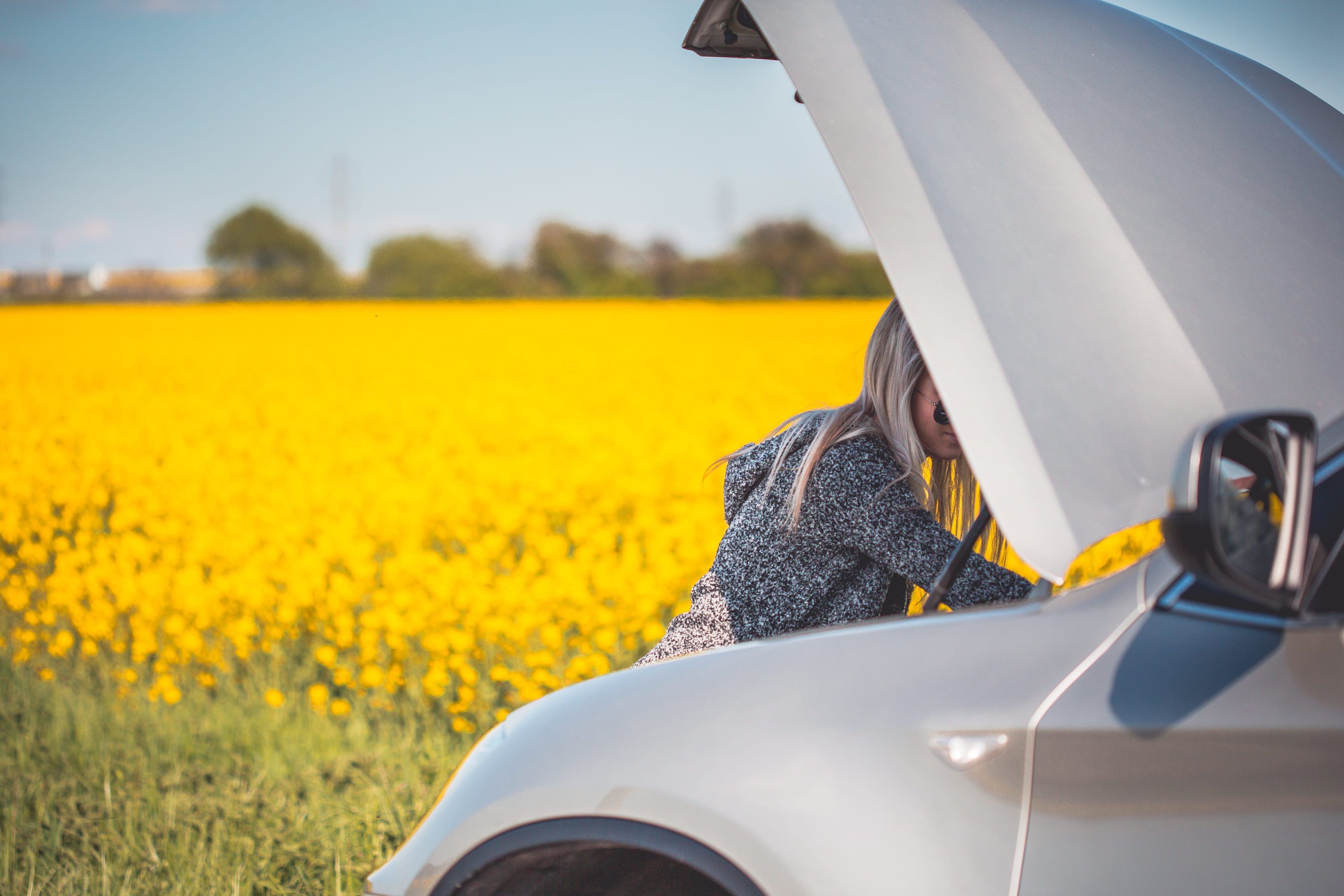 adult, headshot, nature, check, canola, blonde, lifestyles, real people, industry, oilseed Rape, rural Scene, cars, young, leisure activity, 4K, mode of transportation, HD Wallpaper