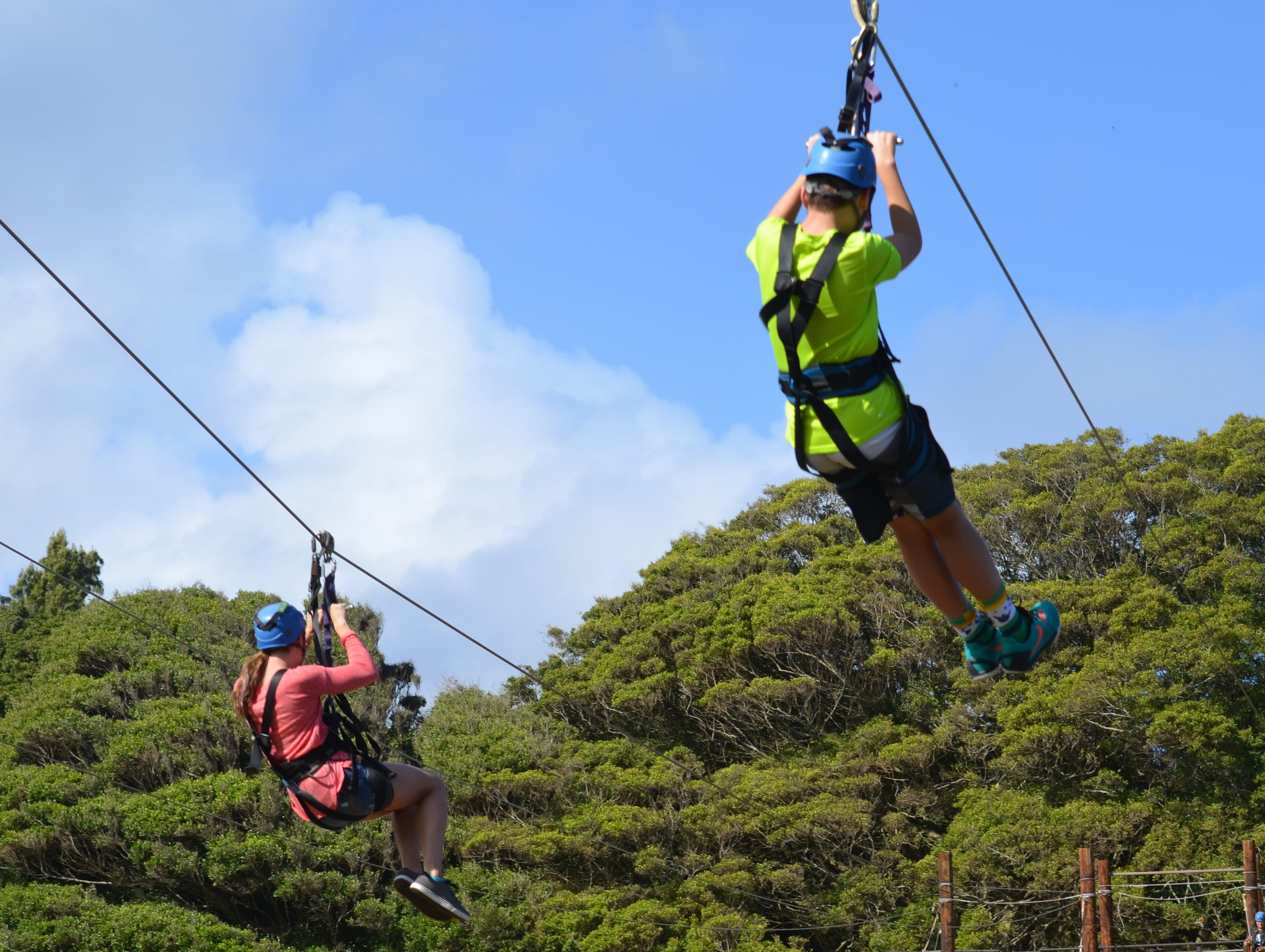 outdoors, mature adult, full length, plant, risk, day, skill, leisure activity, daytime, air, Hawaii, men, 2K, helmet, tree, group of people, enjoyment, HD Wallpaper