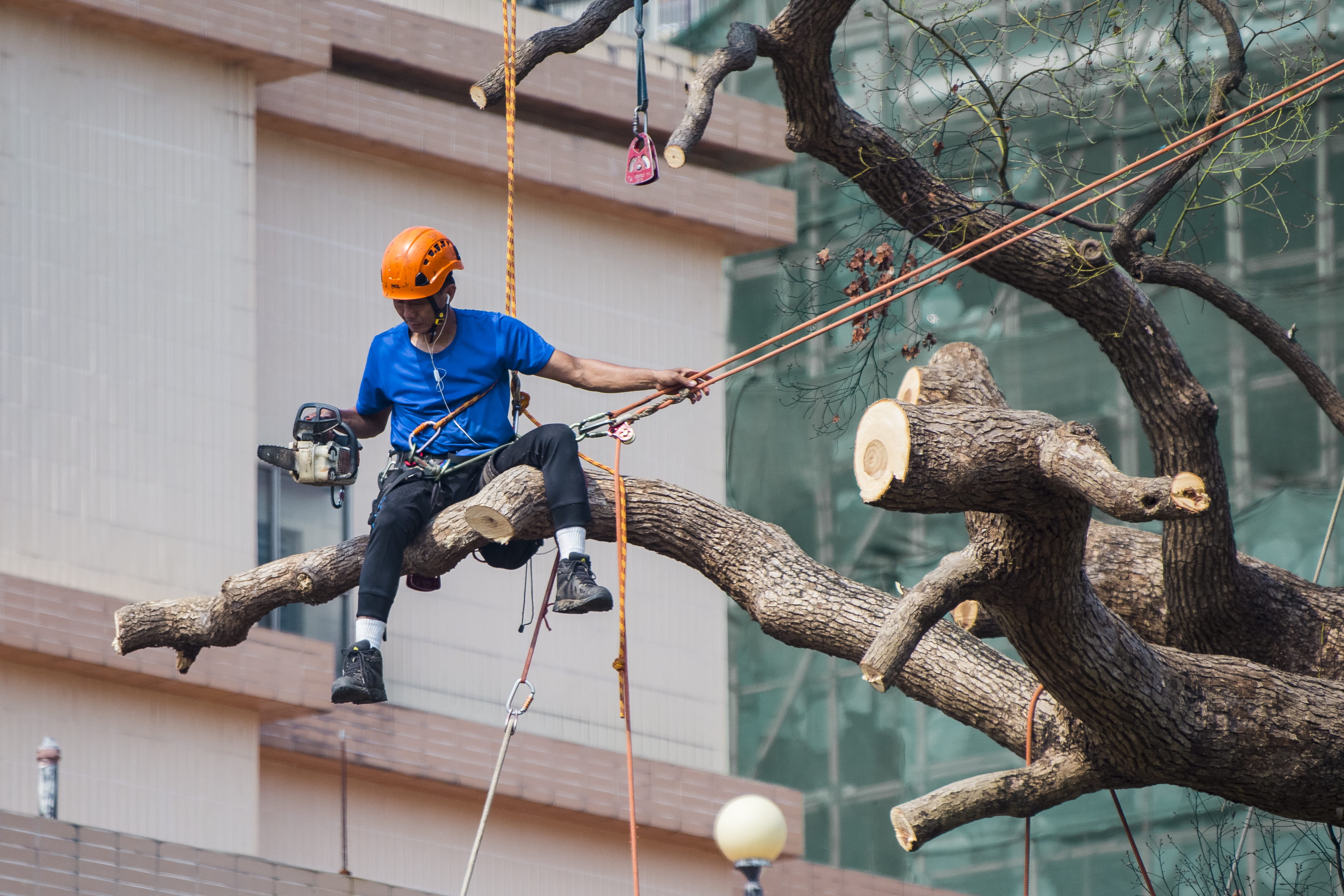 hand, right, men, wear, wood, focus on foreground, built structure, labor, architecture, one person, adult, work, siting, rope, worker, harness, safety, HD Wallpaper