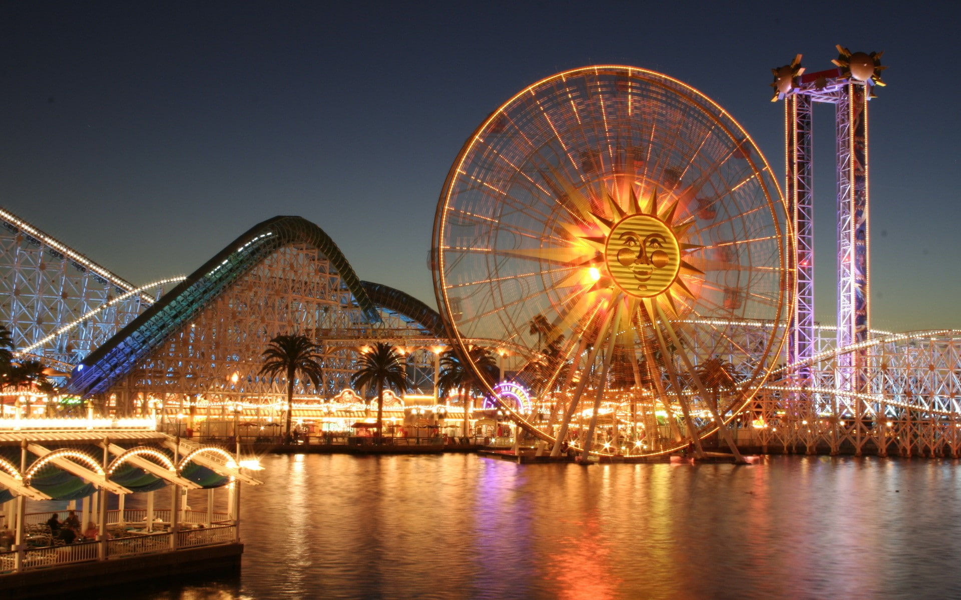 1080P, palm trees, theme parks, water, ferris wheel, lights, HD Wallpaper