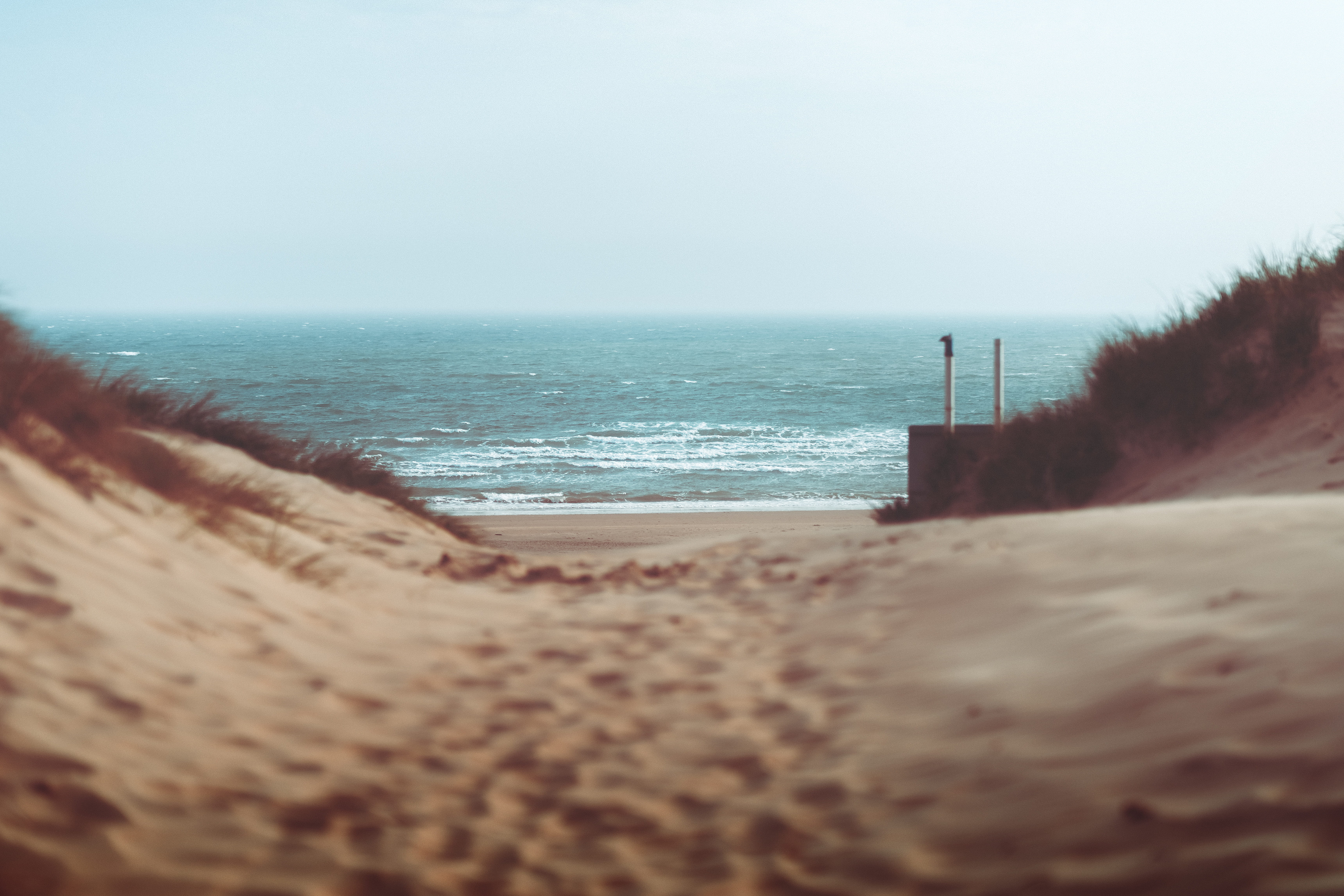 nature, no people, sea, blue, minimal, sand, grass, horizon, beach, outdoors, coast, camber, clear sky, united kingdom, shallow, sky, 5K, tranquility, HD Wallpaper