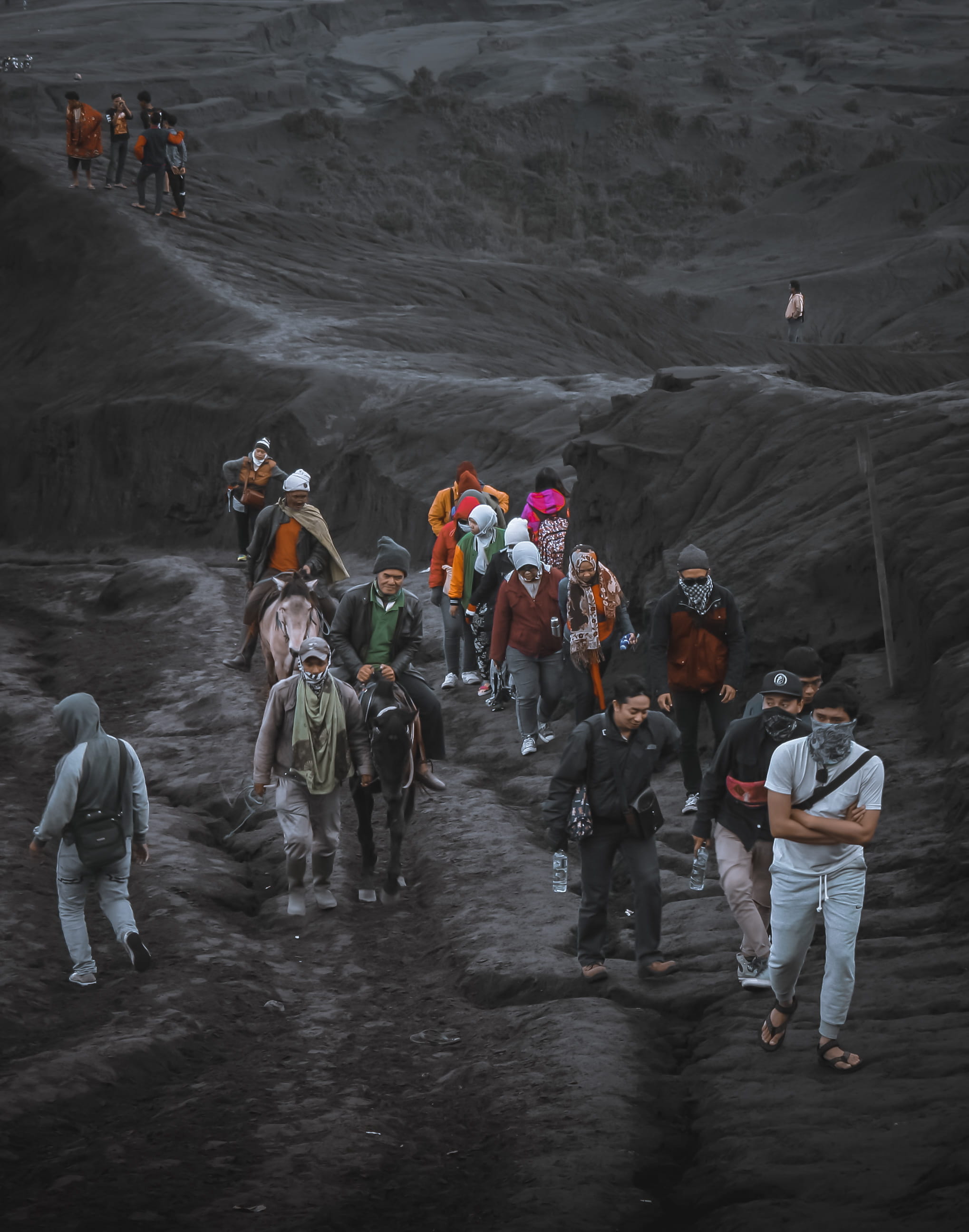 day, group, outdoors, apparel, men, person, livestock, group of people, nature, adult, malang, rear view, lifestyles, crowd, vertebrate, leisure activity, Phone HD Wallpaper