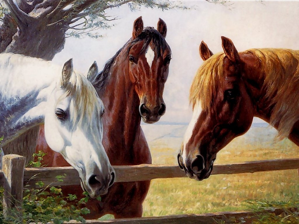 horse, 480P, nice, animals, hoses, hd, paint, painting, horses, HD Wallpaper