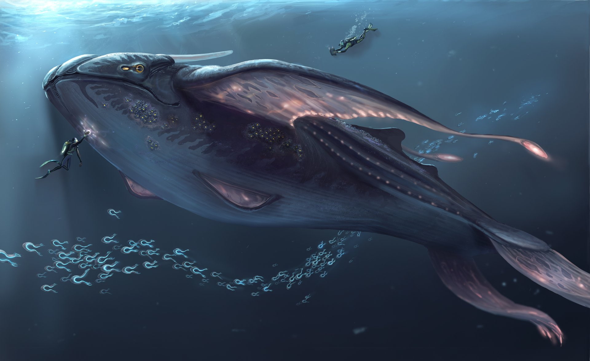 1080P, Subnautica, Video Game, HD Wallpaper