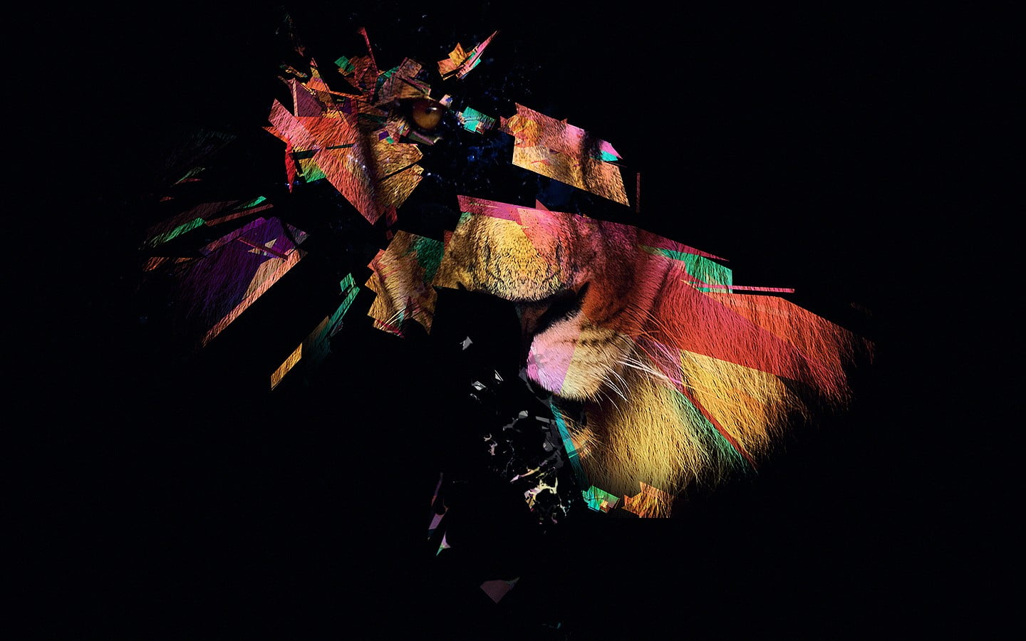 art, brown, hat, lion, studio shot, 720P, multi colored, clothing, dark, no people, black background, abstract, celebration, art and craft, creativity, HD Wallpaper