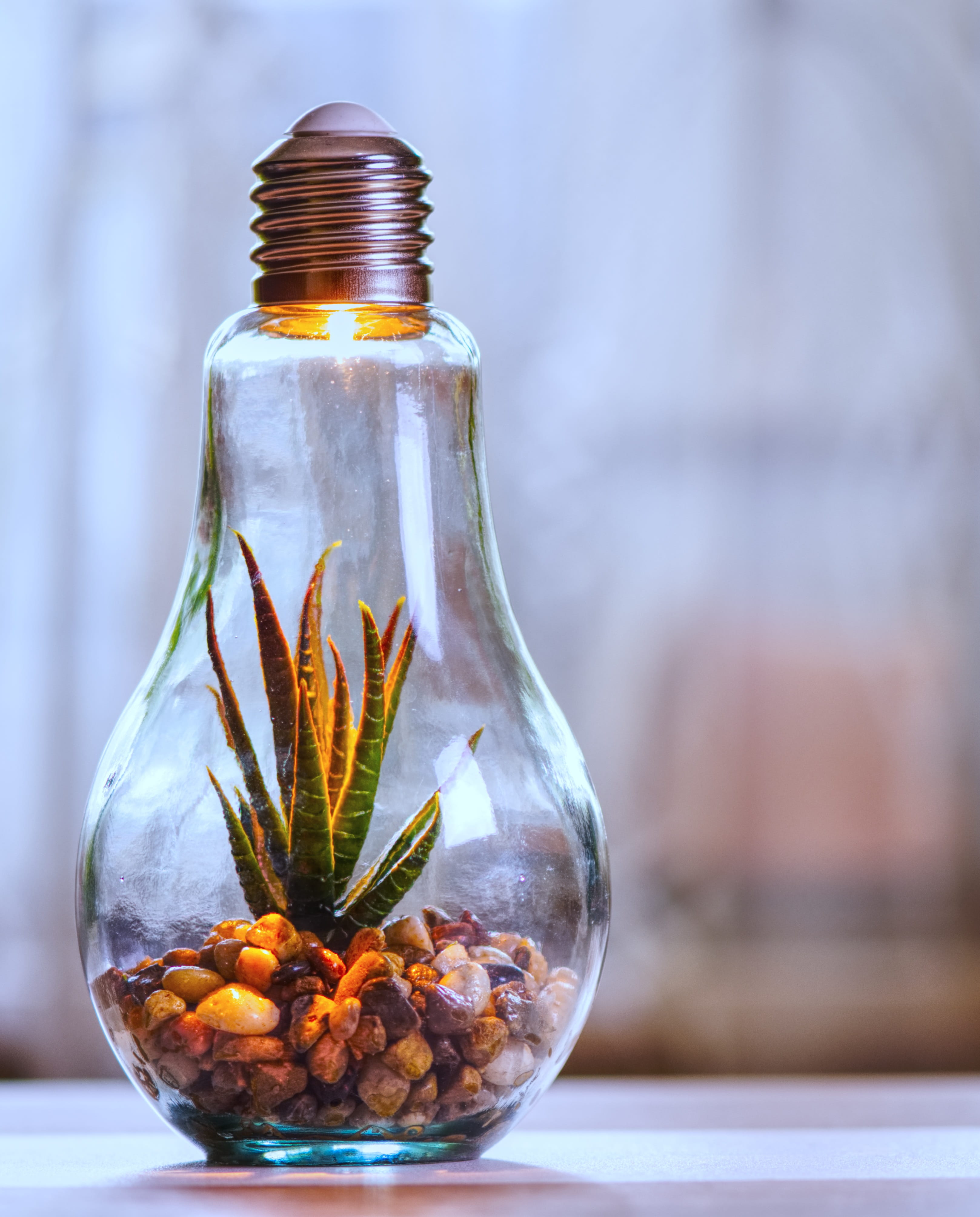 glass - material, container, lamp, 4K, day, jar, freshness, current, table, close-up, light bulb, nature, nature conservation, no people, environment, Phone HD Wallpaper