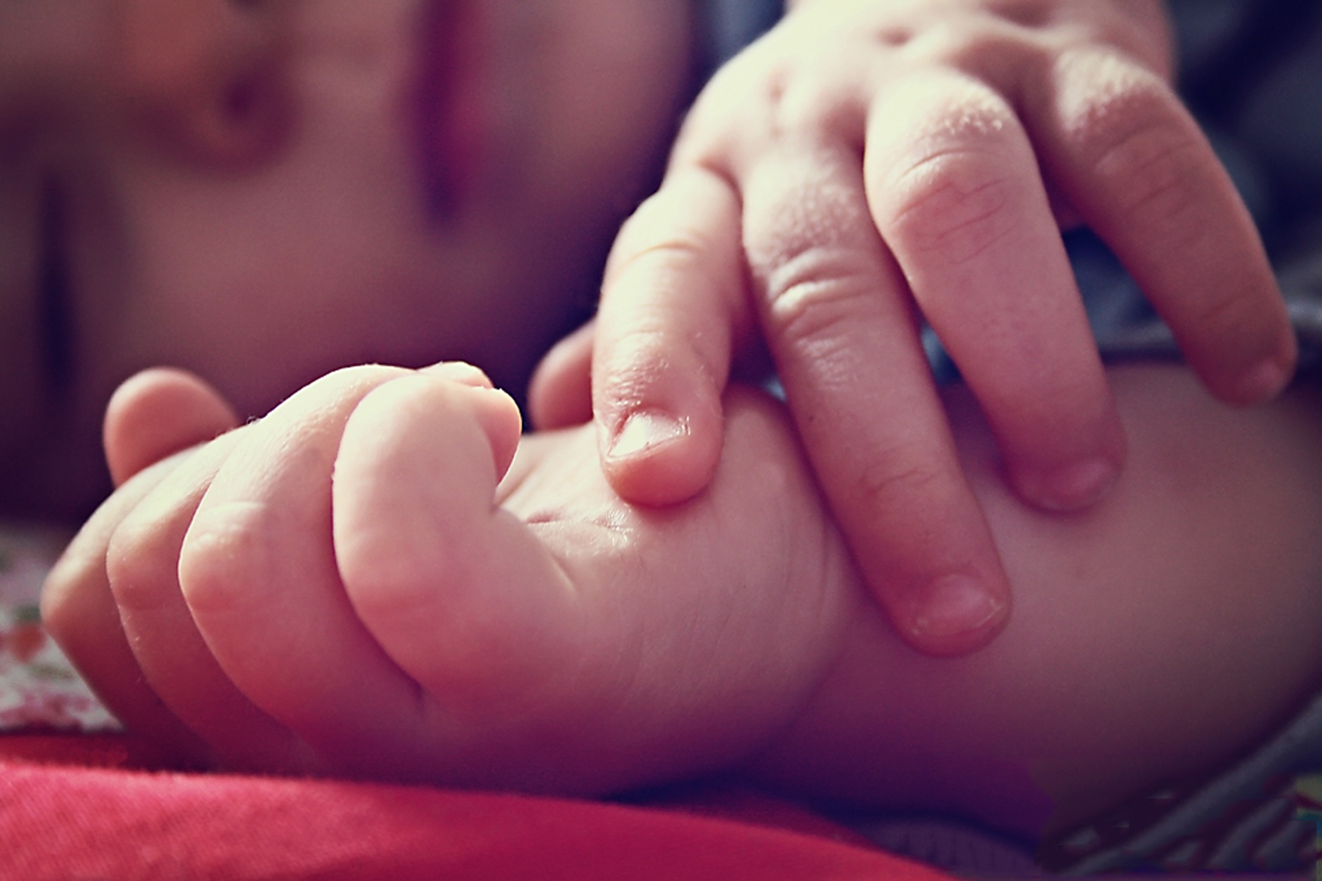 children, care, innocence, finger, infant, sleeves, s, new Life, small, human body part, hands, young, newborn, human, person, human foot, baby, indoors, HD Wallpaper