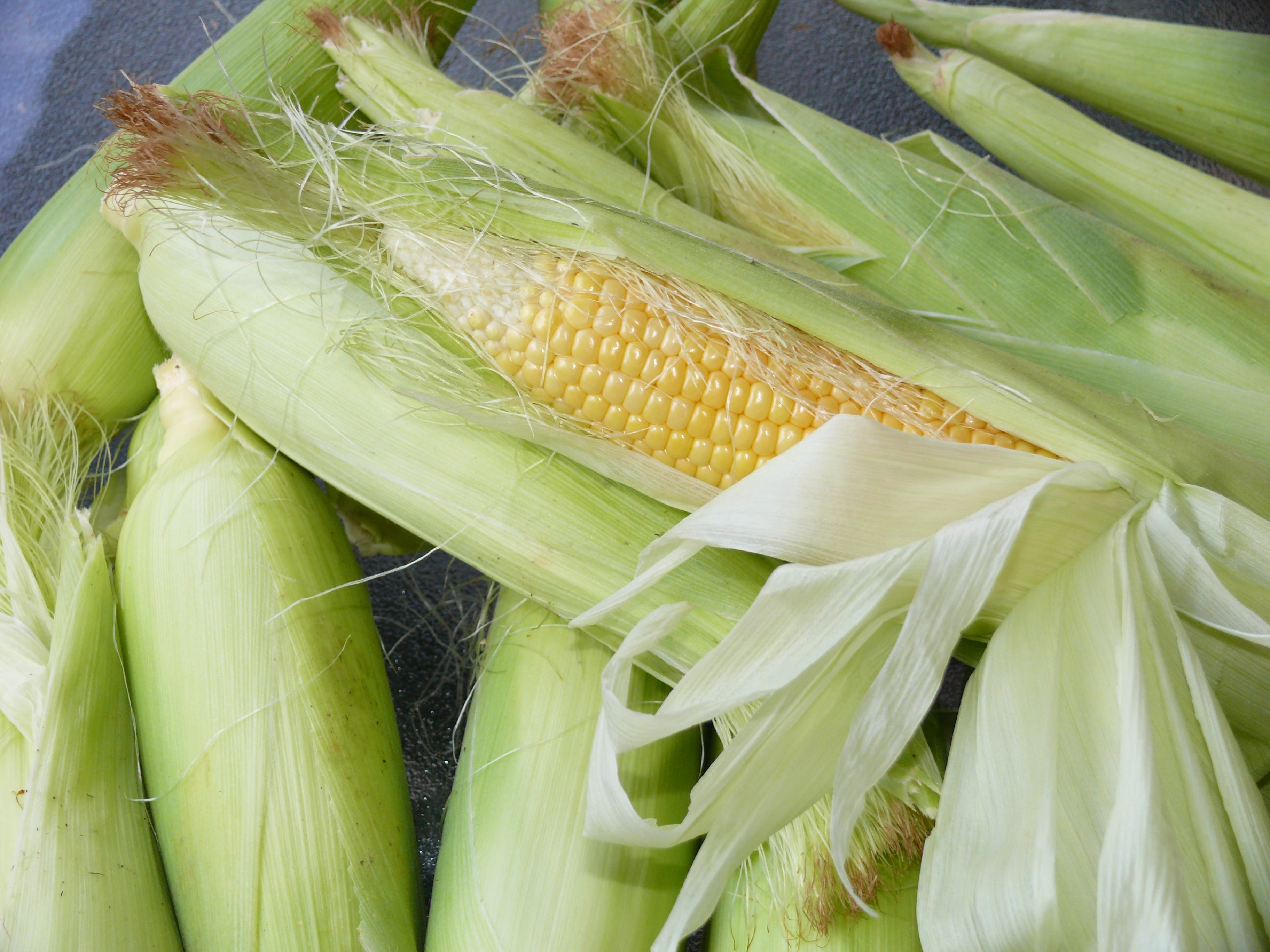 raw food, corn, vegetarian, nature, sweetcorn, nutrition, maize, wellbeing, food, 2K, healthy eating, corn - crop, agriculture, freshness, organic, corn on the cob, HD Wallpaper