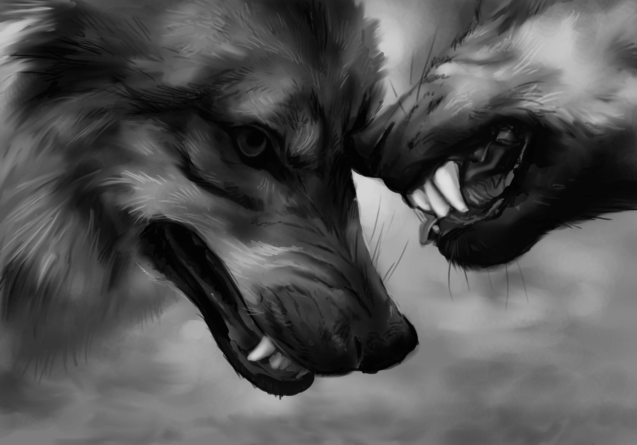 canine, mouth, focus on foreground, cruel, strength, mouth open, motion, close-up, anger, domestic, 1080P, nature, domestic animals, animal, wolves, two, HD Wallpaper