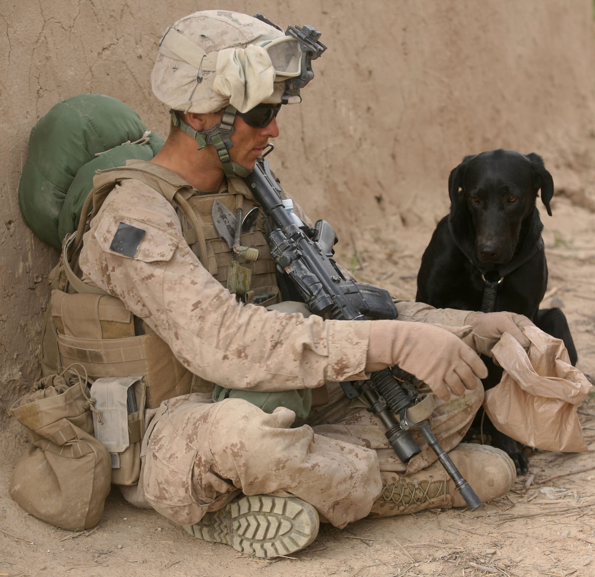 soldier, army soldier, weapon, vertebrate, pet, one animal, duty, canine, one person, base, mammal, domestic animals, dog, full length, armed forces, machine gun, HD Wallpaper