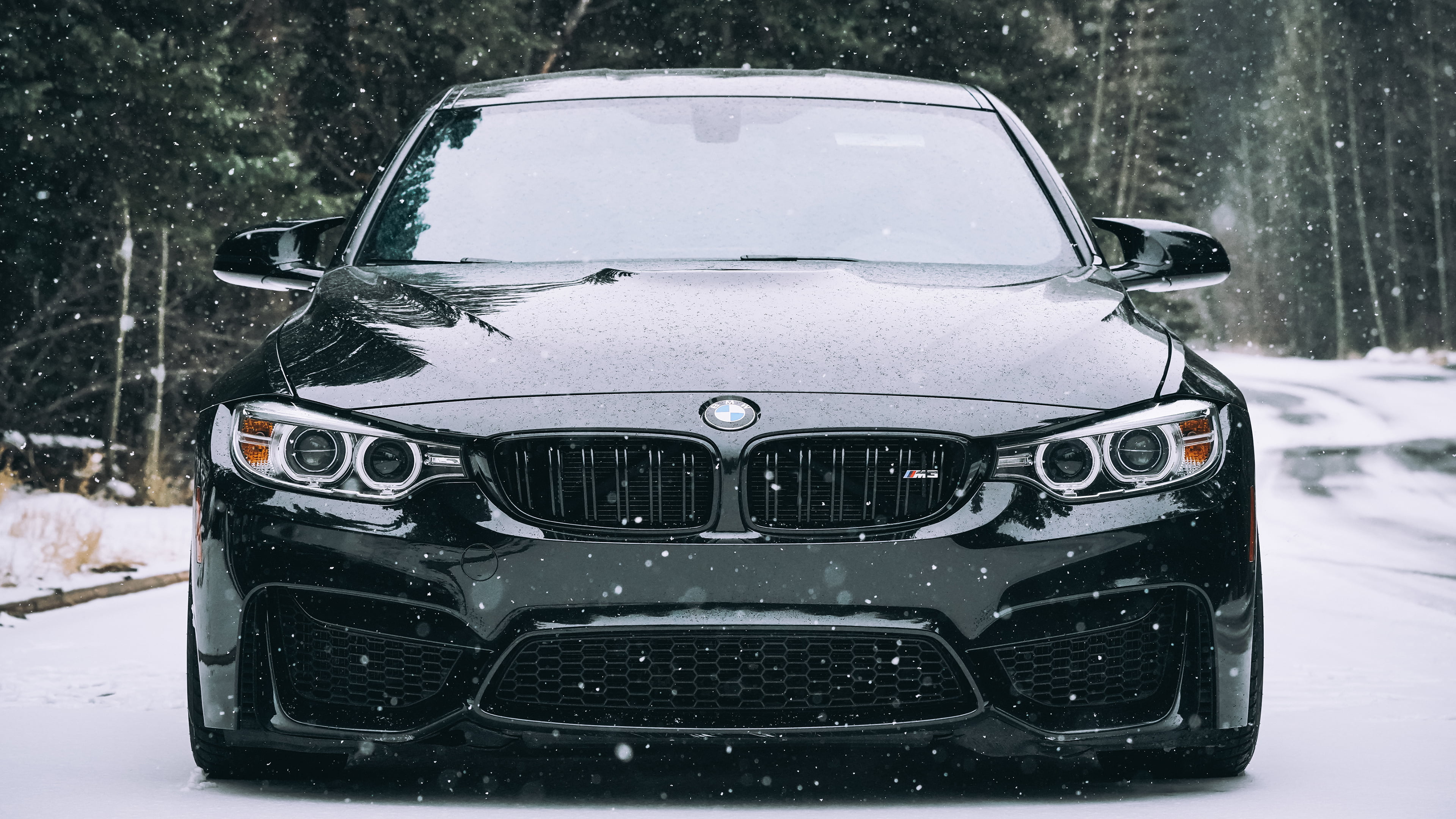 vehicle, Bimmer, Colorado, BMW, winter, 4K, car, HD Wallpaper