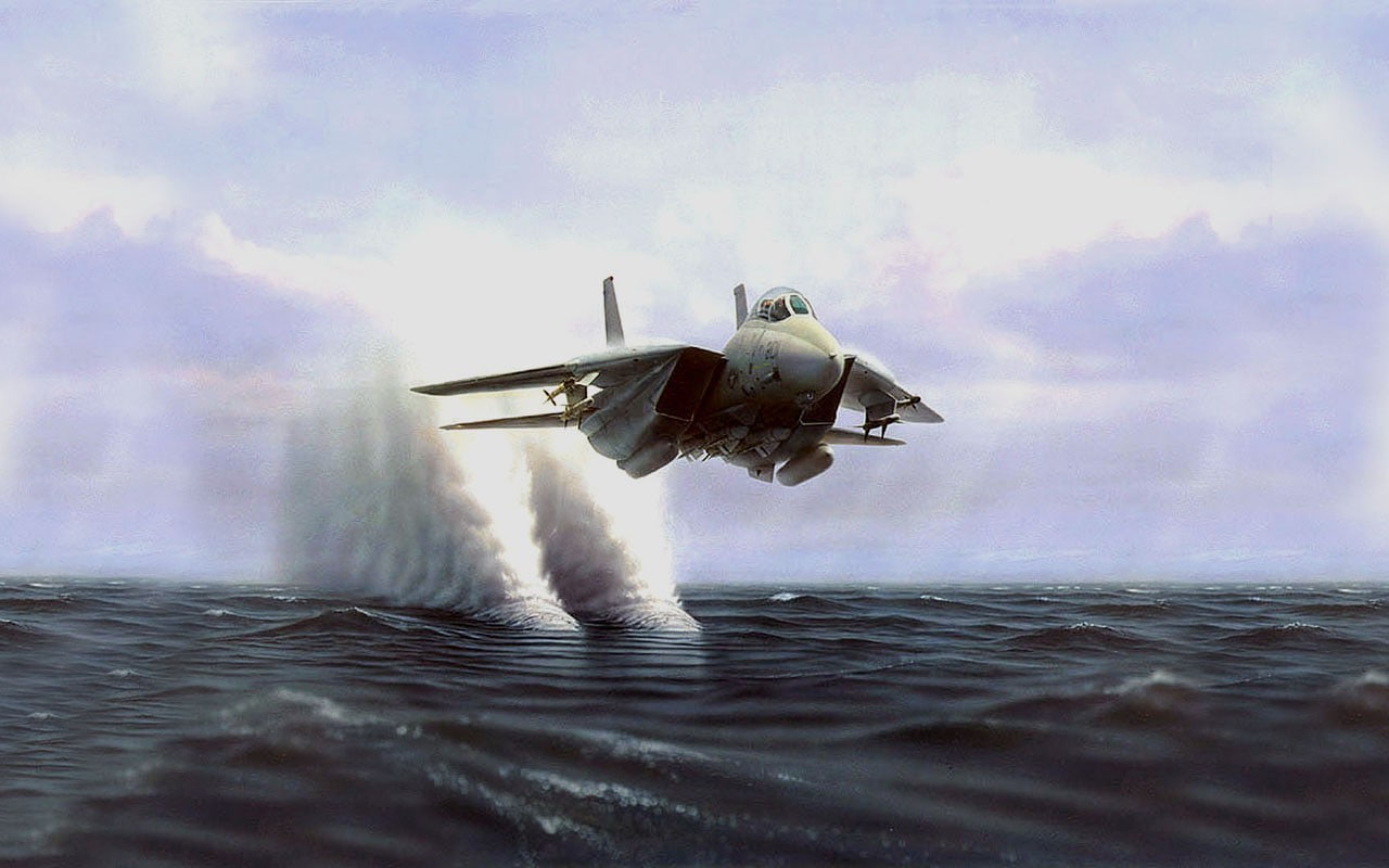 720P, 14 tomcat, grumman f, aircraft, HD Wallpaper