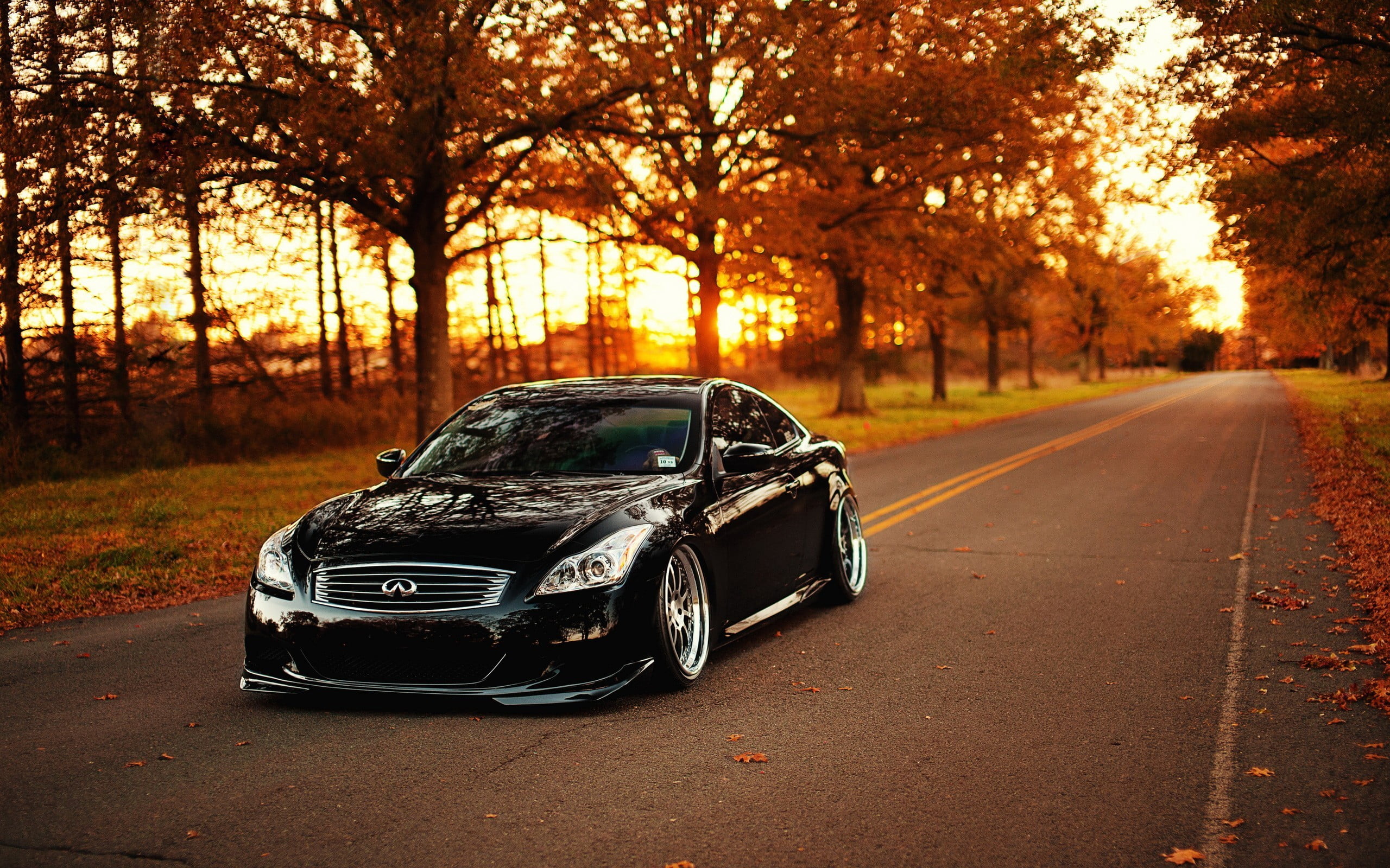 outdoors, city, land vehicle, motor vehicle, direction, mode of transportation, car, sunlight, g, orange color, road, nature, autumn, sunset, street, 2K, HD Wallpaper