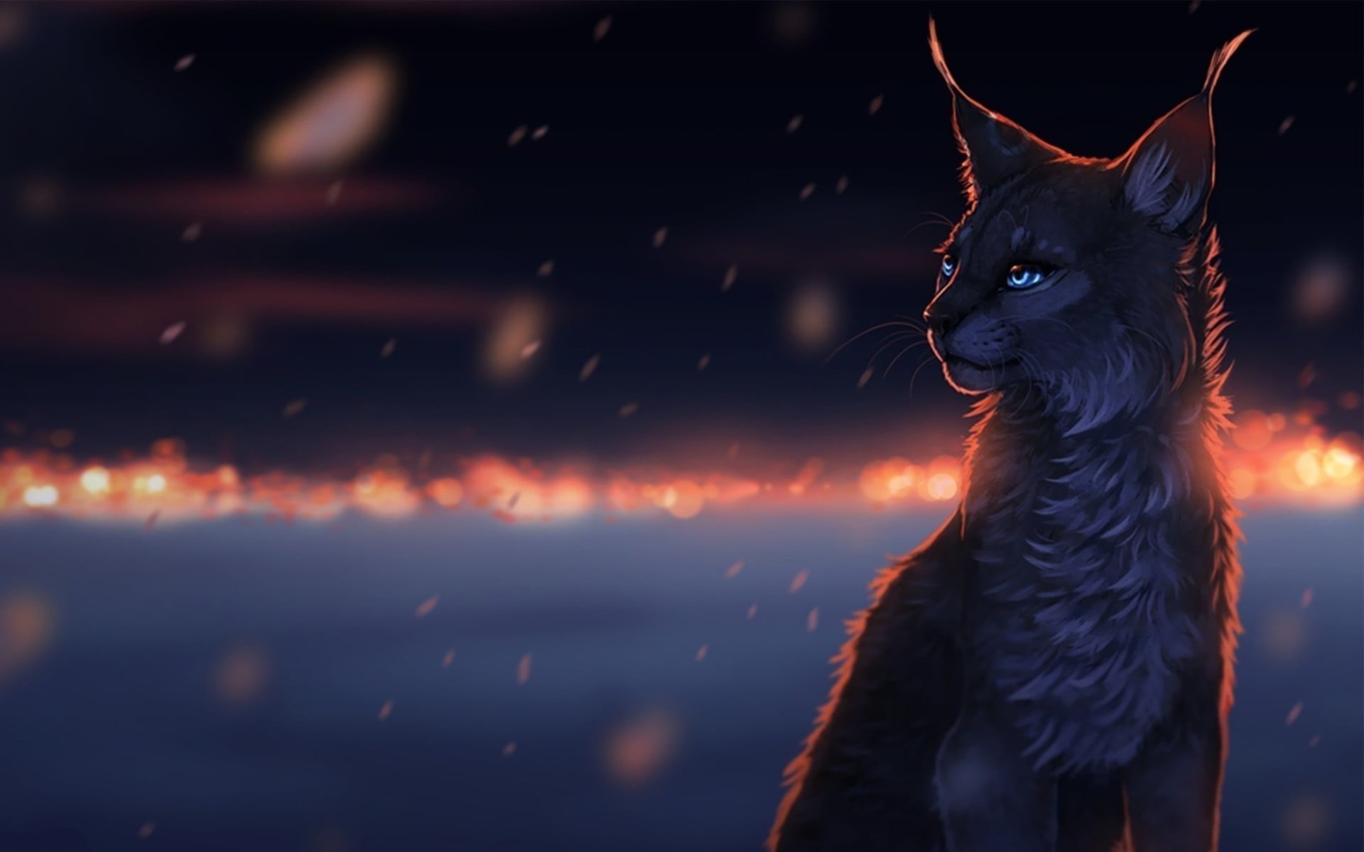canine, rain, domestic, domestic animals, mammal, cat, alertness, gray, drawing, looking, sunset, whisker, focus on foreground, feline, pets, vertebrate, HD Wallpaper