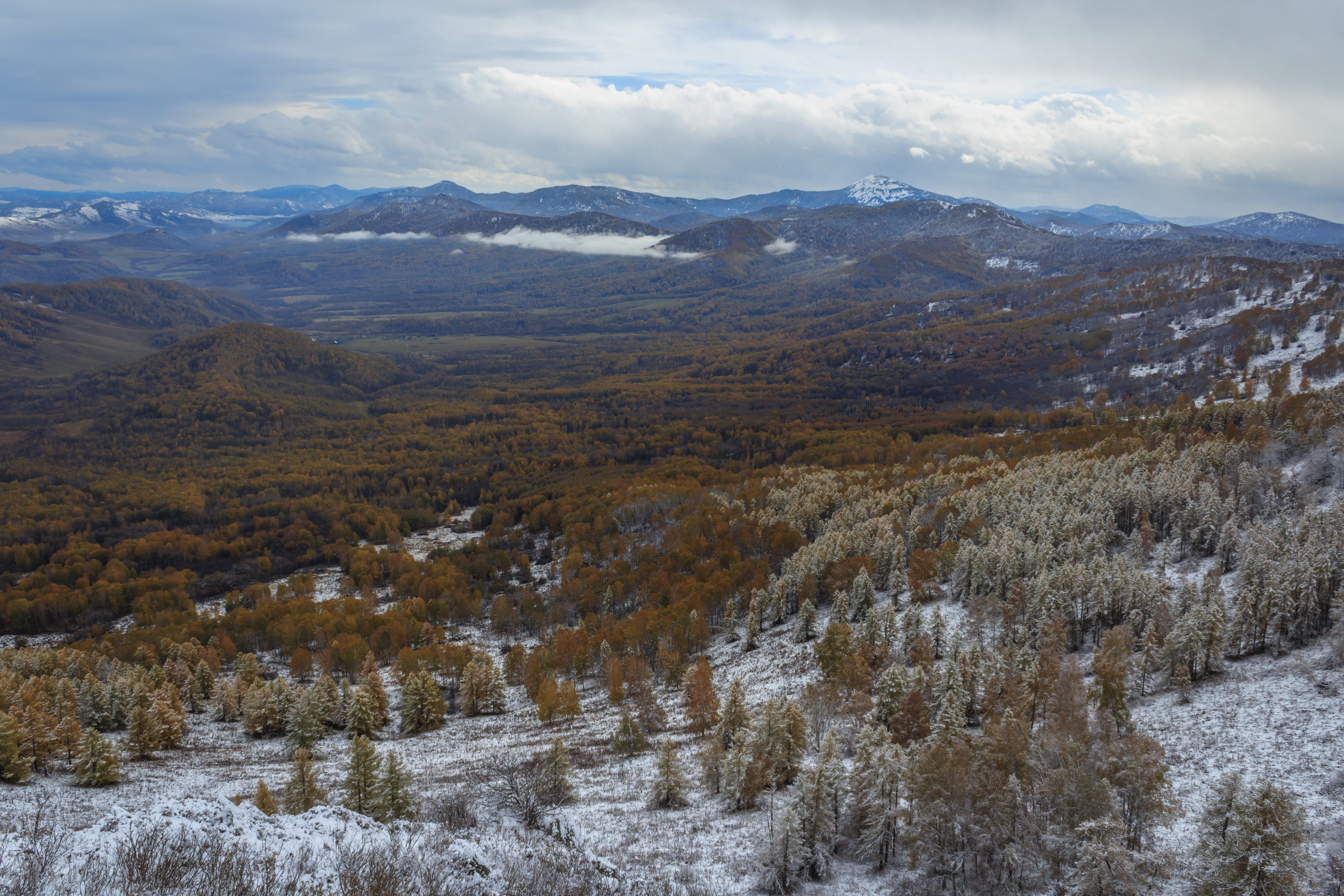 autumn, environment, snowcapped mountain, winter, russia, cold temperature, landscape, tranquility, land, nature, birch, snow, day, efi, altai, scenics - nature, HD Wallpaper
