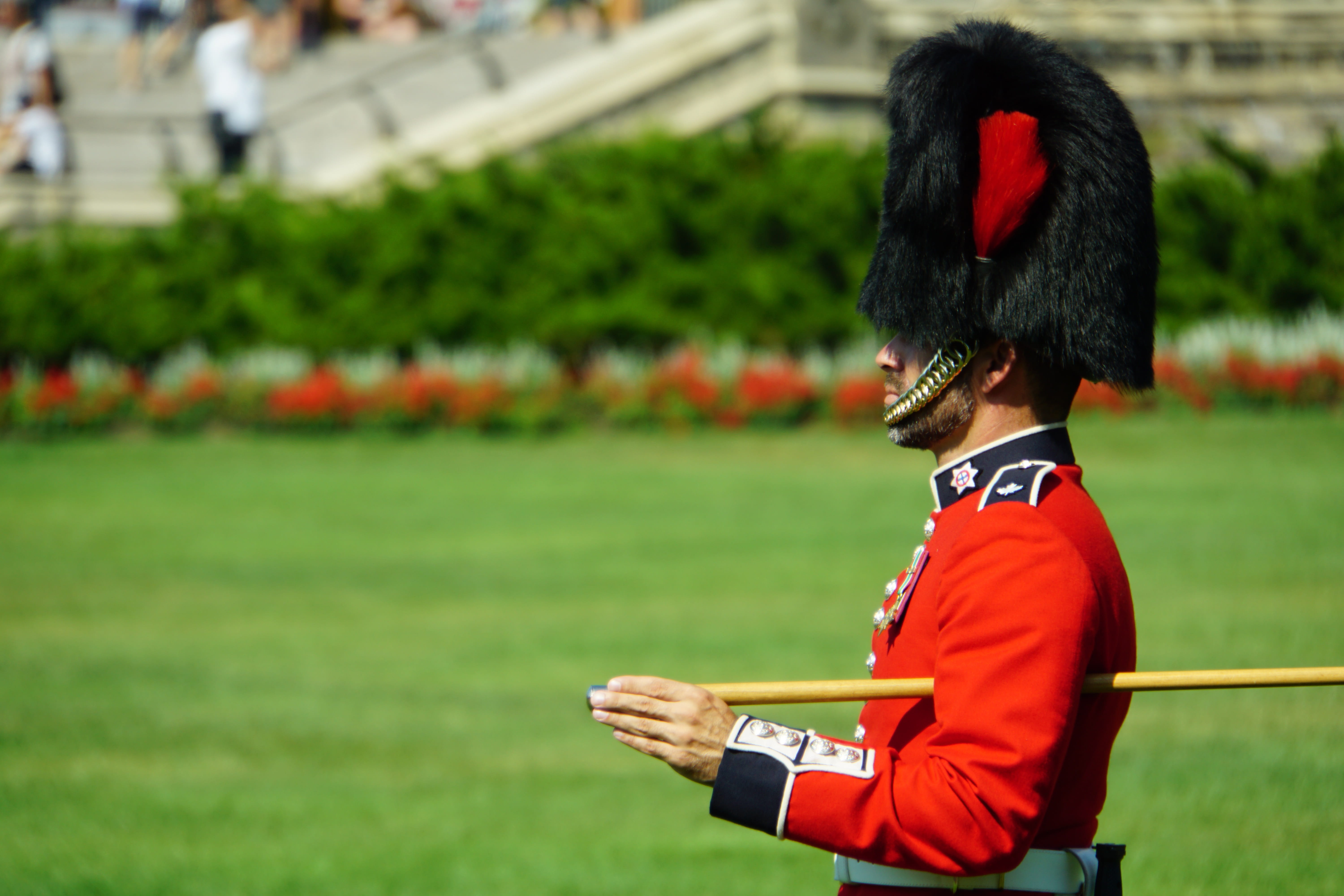 england, men, three quarter length, 5K, guard, field, standing, red, uniform, sport, green color, bearskin cap, outdoors, ottawa, people, adult, parliament, HD Wallpaper