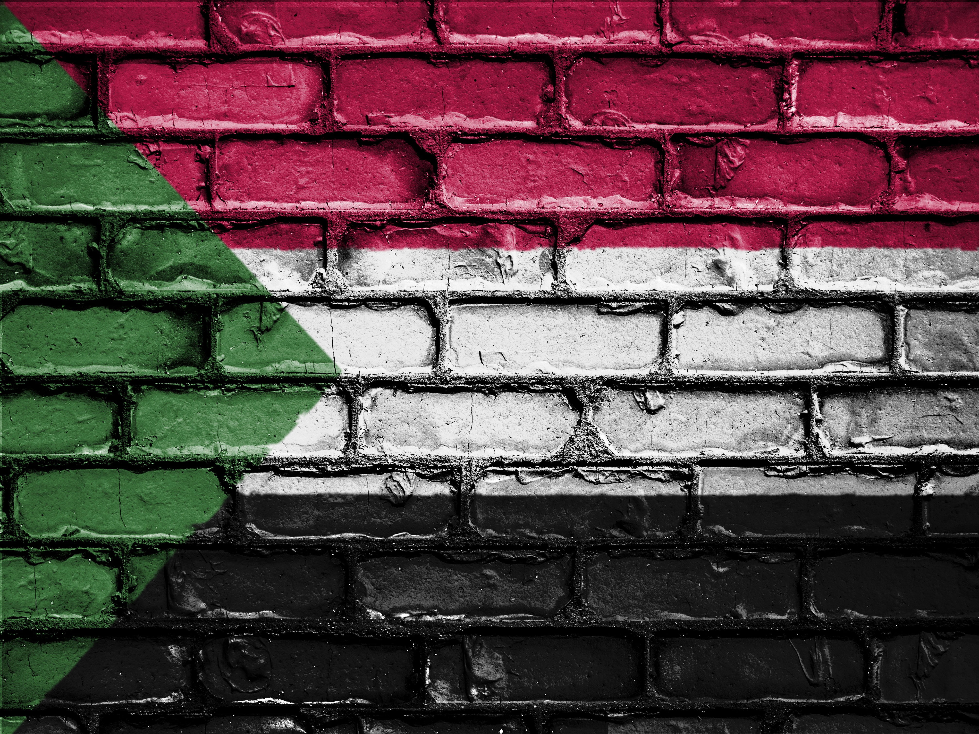 nation, patriot, banner, national, architecture, paint, day, wall, sudan, emblem, full frame, flag, 4K, green color, pattern, patriotic, symbol, backgrounds, HD Wallpaper