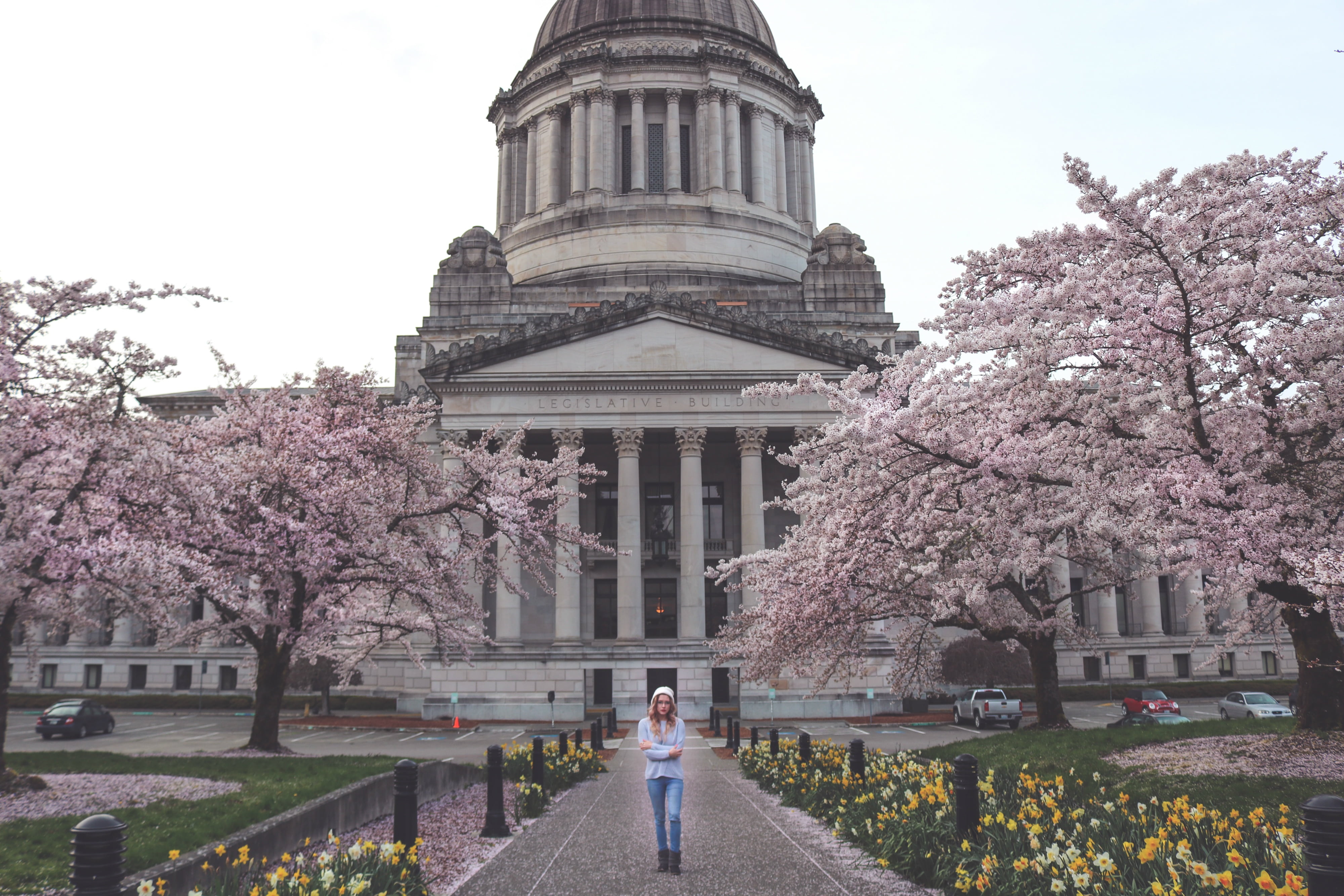 pathway, building, cherry blossom, plant, lifestyles, standing, state, built structure, woman, capital, men, travel destinations, young, growth, real people, HD Wallpaper