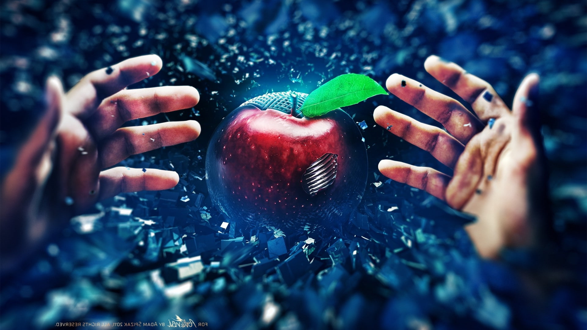 women, wellbeing, berry fruit, nature, food, people, digital art, Adam Spizak, human body part, apple - fruit, close-up, healthy lifestyle, healthy eating, HD Wallpaper