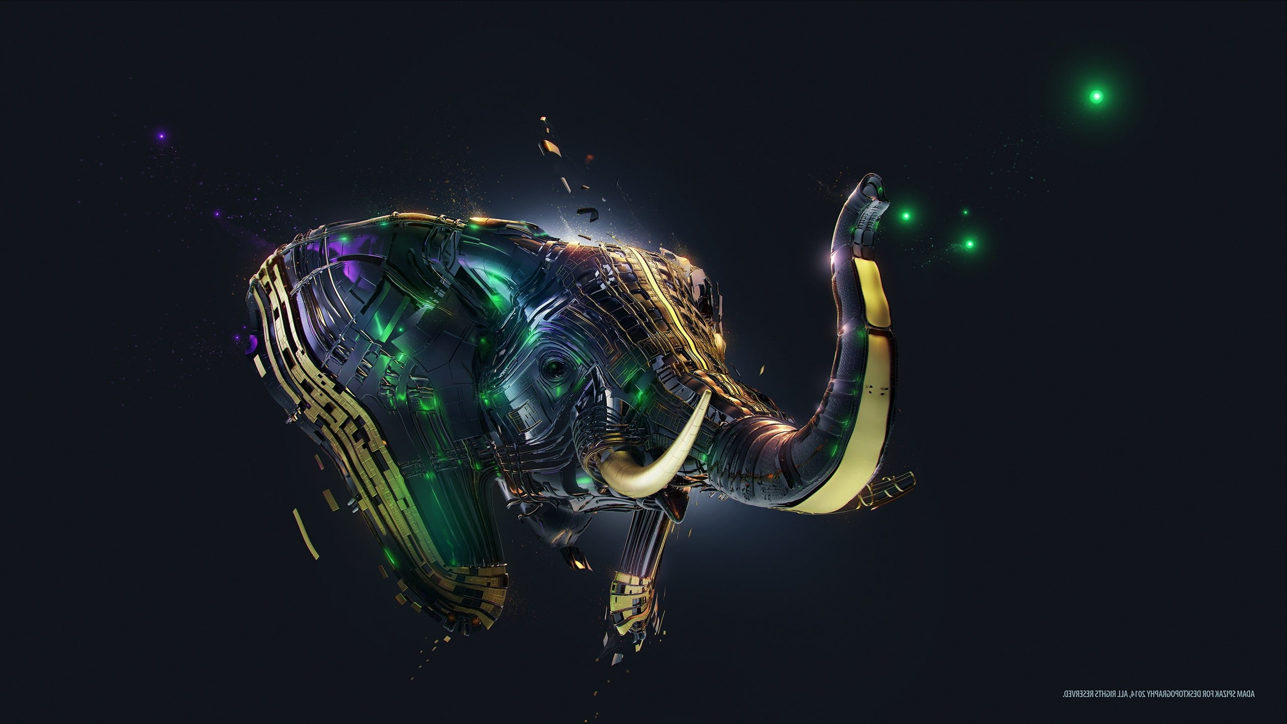 black background, no people, light - natural phenomenon, multi colored, technology, Elephants, water, nature, indoors, copy space, 2K, connection, science, HD Wallpaper