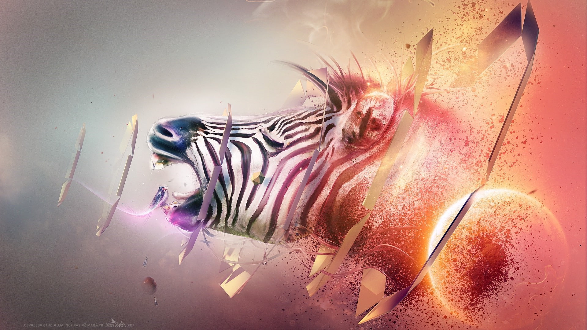 animal, one animal, animal wildlife, indoors, close-up, 1080P, underwater, marine, water, sea life, striped, glass - material, animal themes, no people, HD Wallpaper