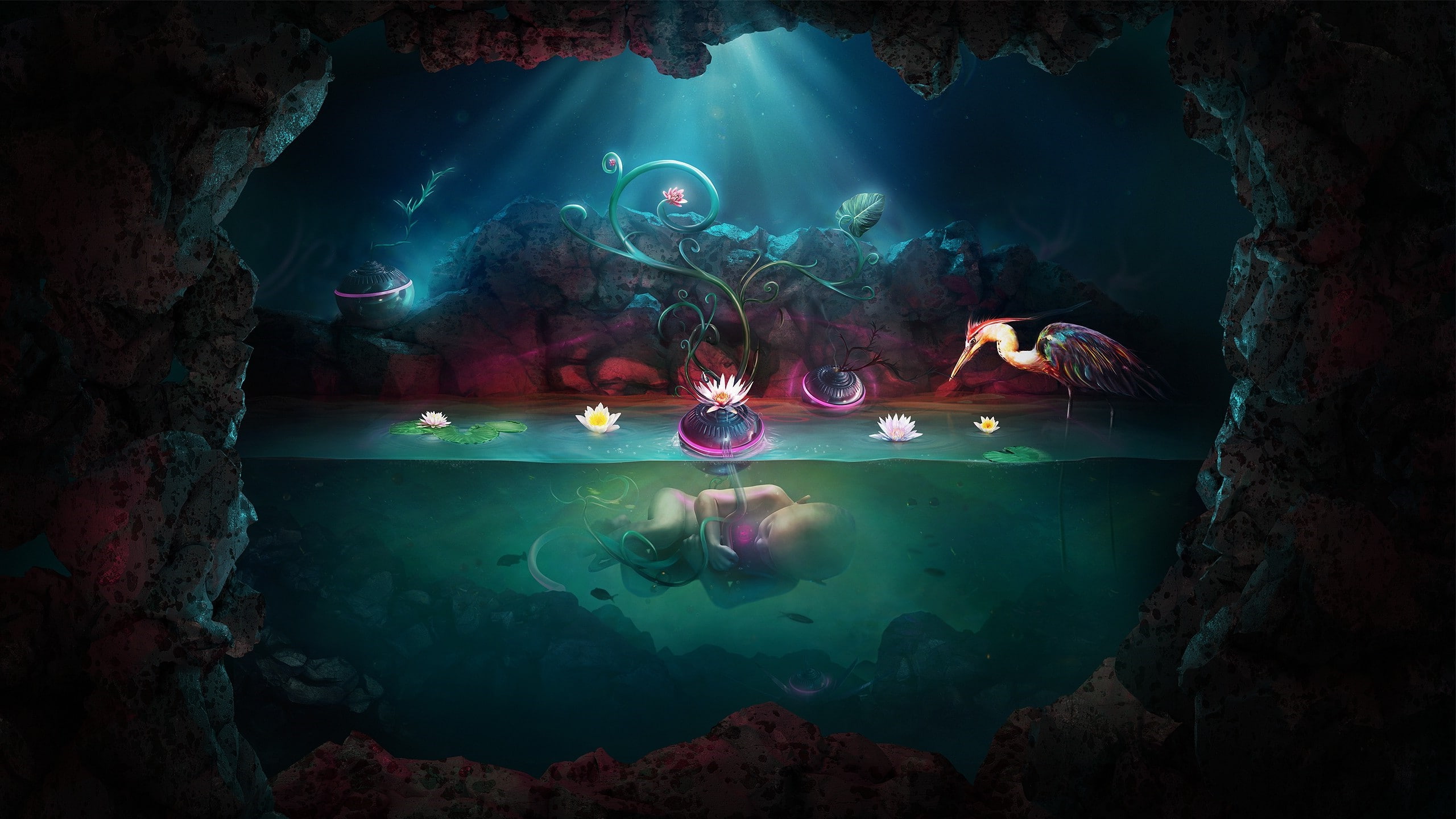cave, solid, rock - object, rock, water, aquatic sport, underwater, undersea, adventure, sea, animal themes, animal, water water lilies lily pads colorful rock digital art adam spizak split view, HD Wallpaper