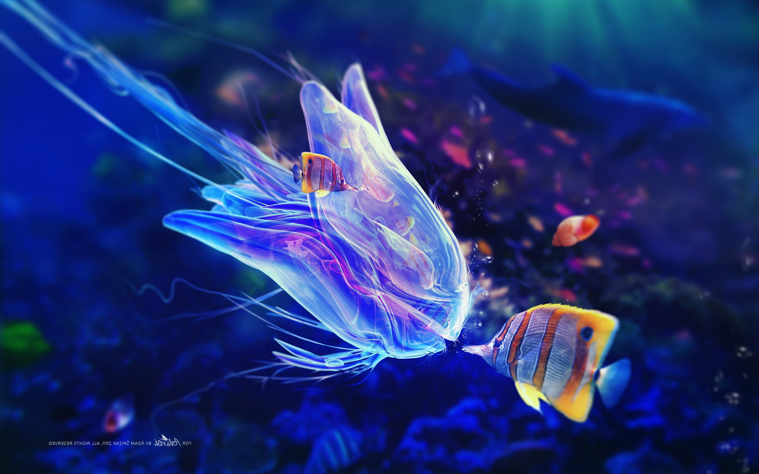 bubbles, underwater, close-up, no people, sea life, 2K, fantasy Art, digital art, purple, undersea, animal, animal themes, animals in the wild, invertebrate, HD Wallpaper