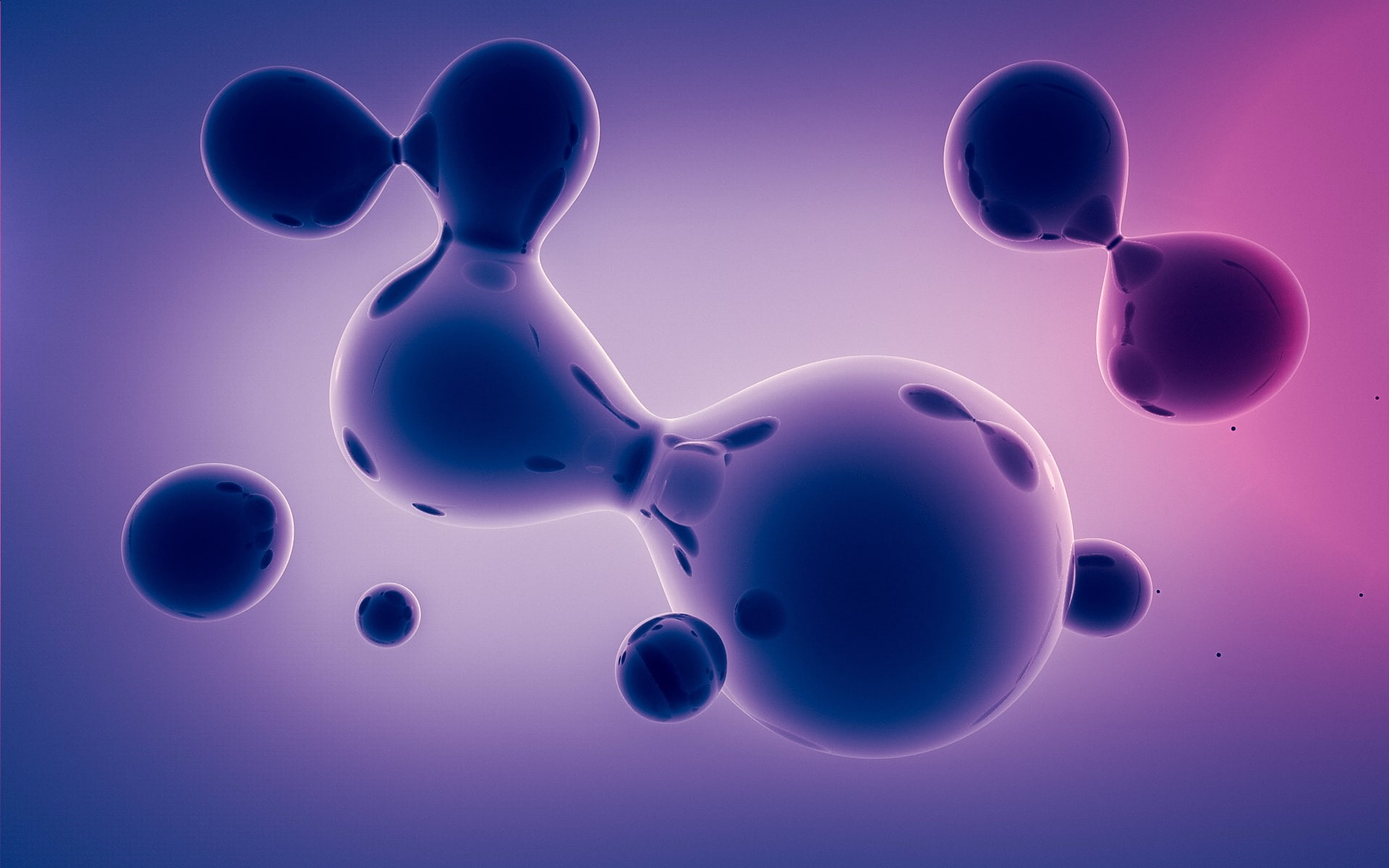 group of objects, animal themes, three dimensional, no people, 1080P, shape, digital art, colored background, communication, Liquid, indoors, Adam Spizak, HD Wallpaper