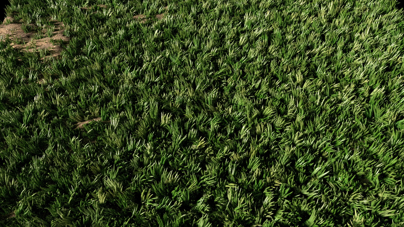 plant, high angle view, growth, abundance, tranquility, foliage, day, lush foliage, grass, textured, green, no people, 720P, field, nature, green color, HD Wallpaper