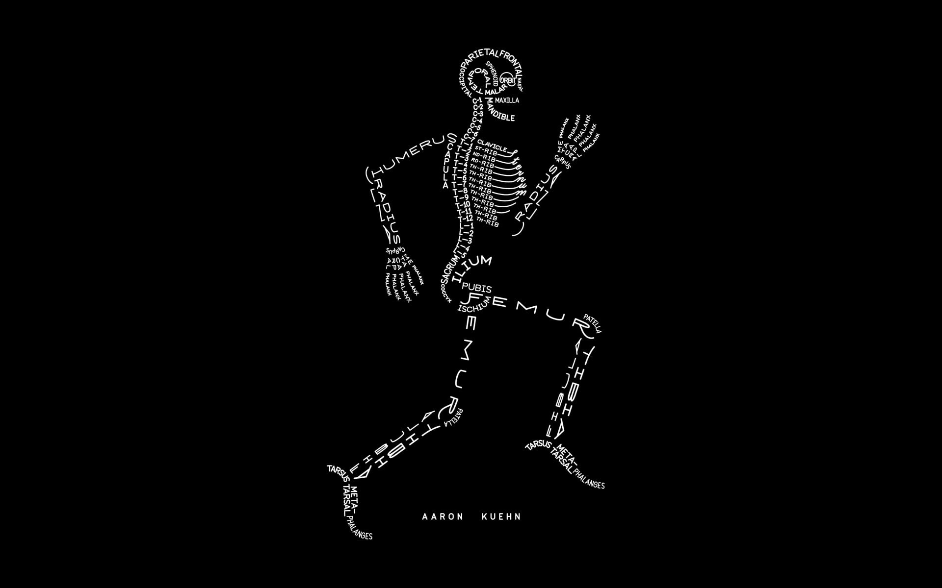 bones, 1080P, HD Wallpaper